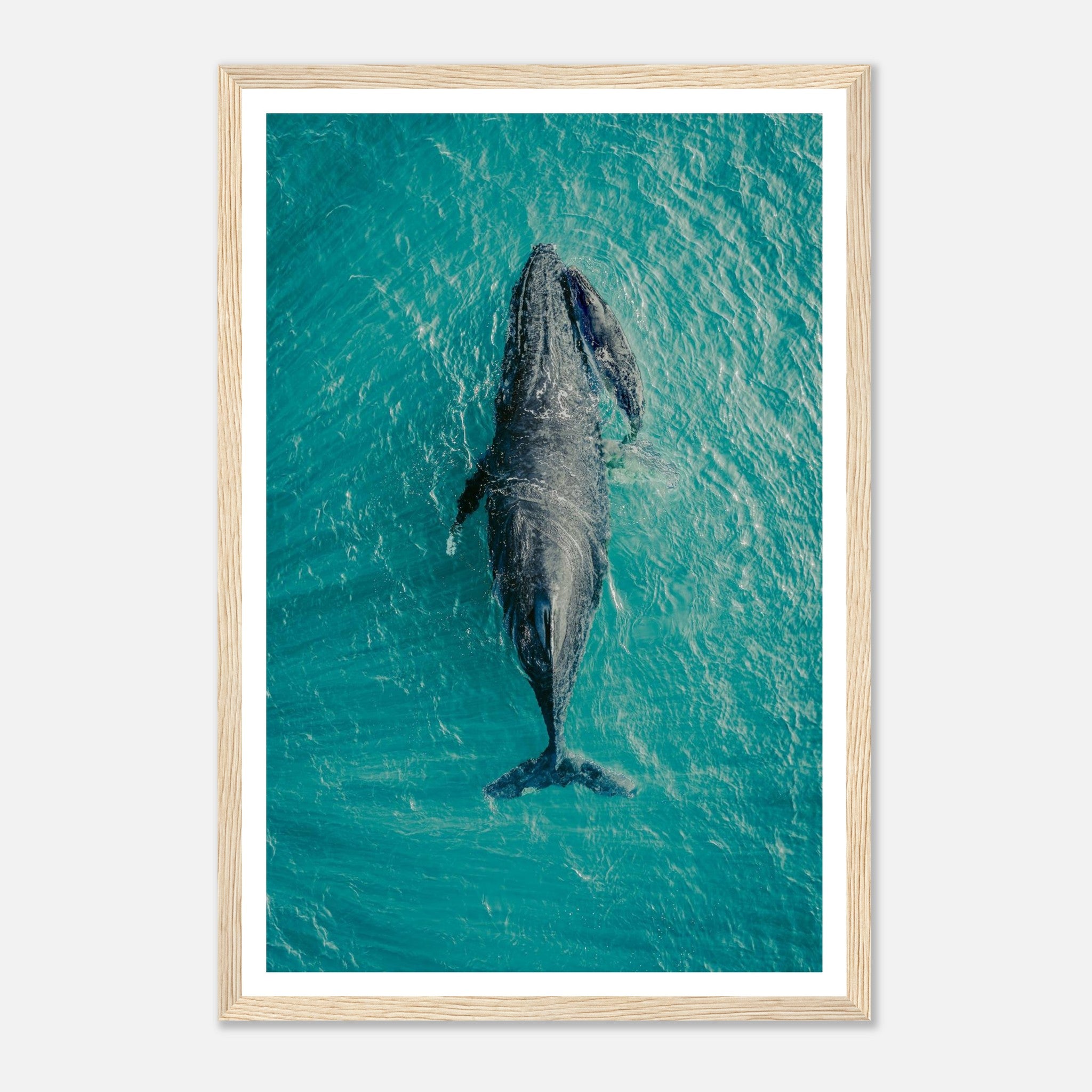 6c2b9628-cdfd-45f4-83b5-02e46b63c233