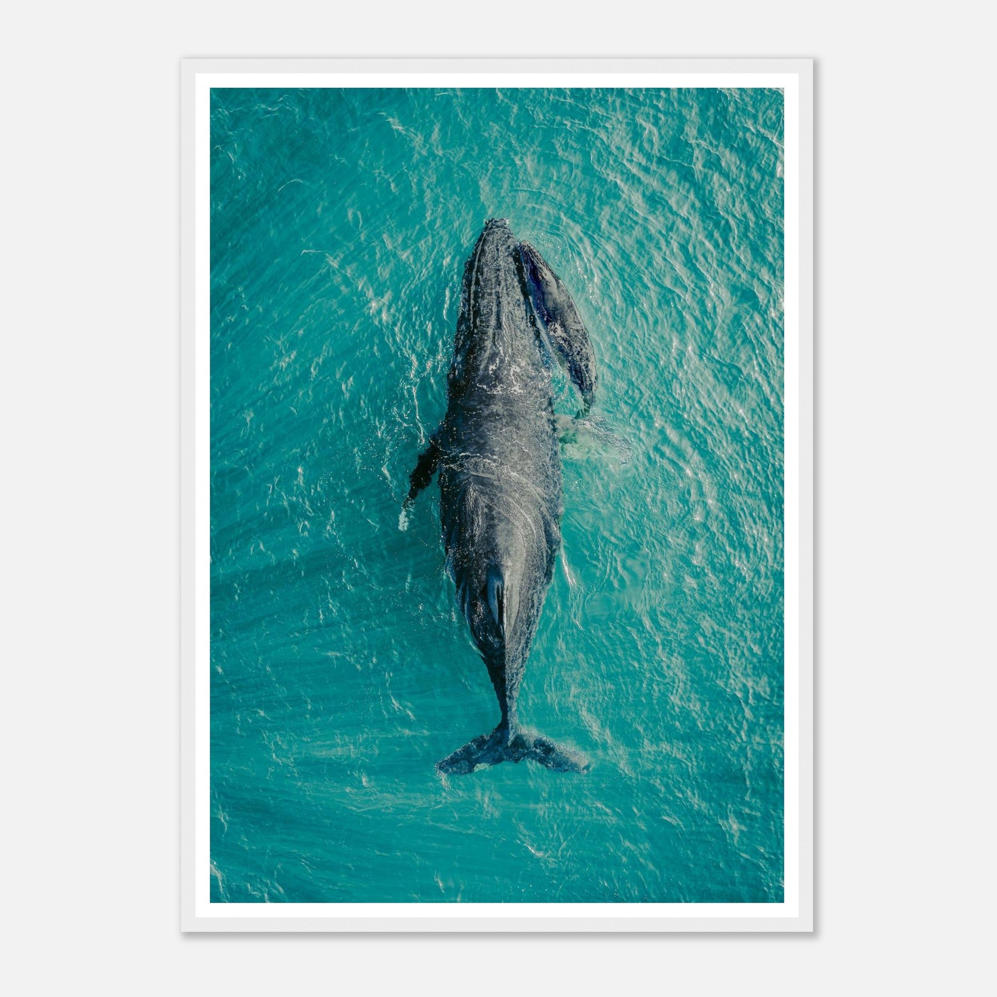 6d501a3f-1276-4a28-8c56-347b5d462cdb