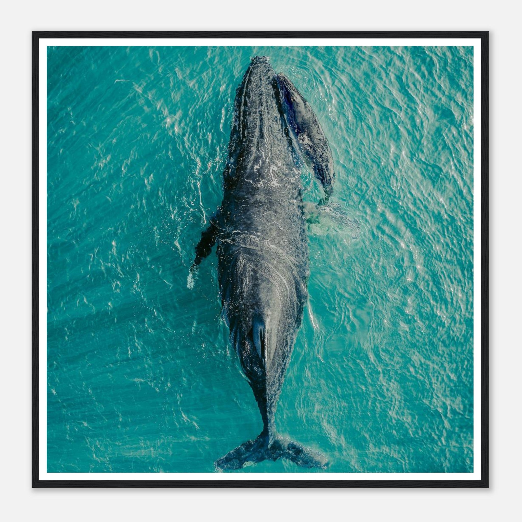 6fa098c7-0042-48b2-b8b0-8c6953fc1f4b