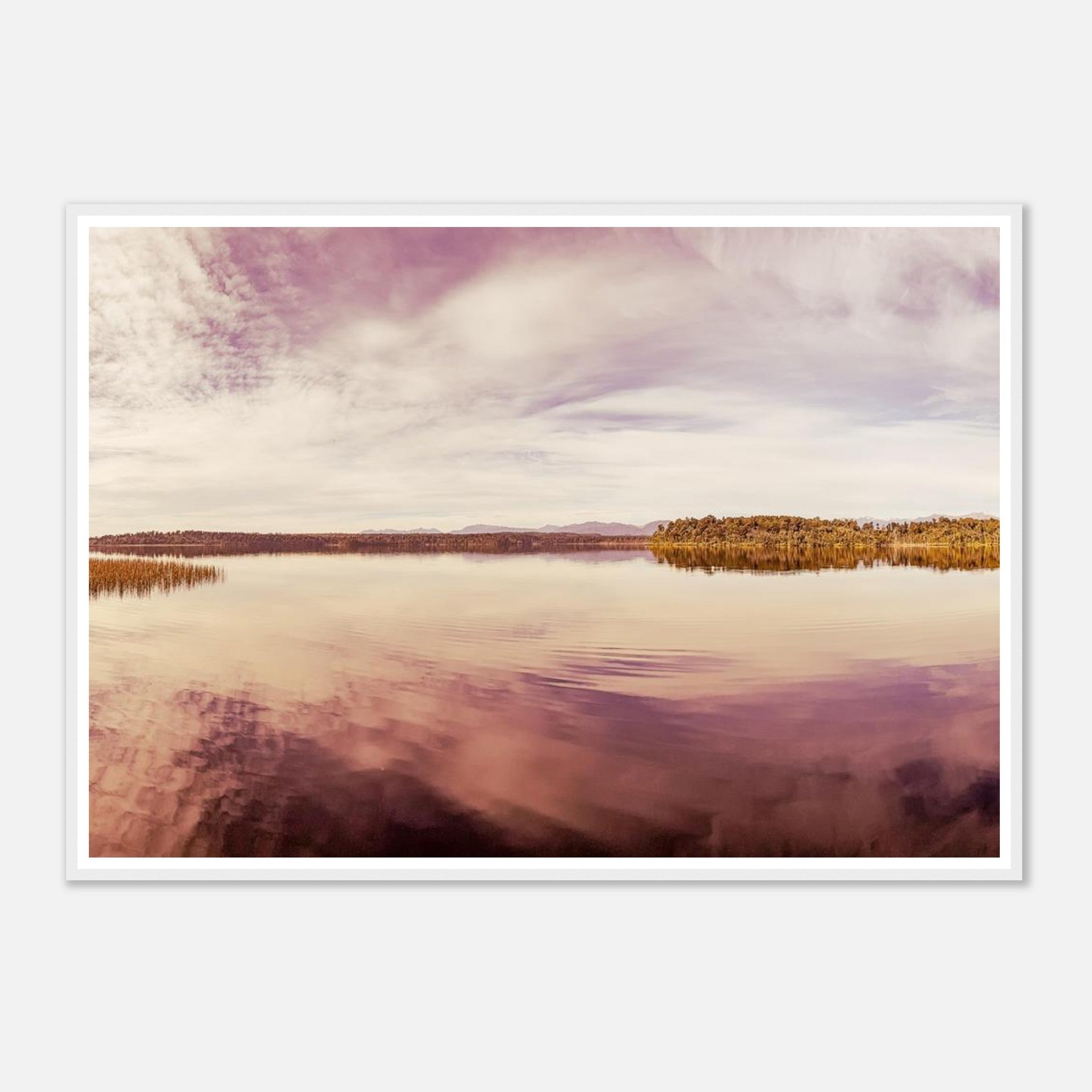 82baee72-cff2-46dc-b2b4-f95159749f49