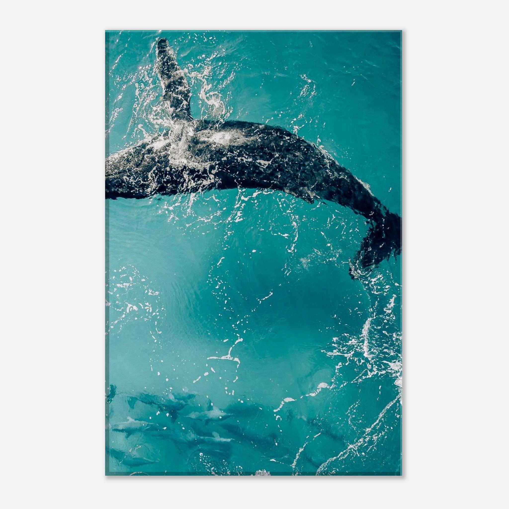 83a4ca64-7426-4a23-8aab-199a38a229cc