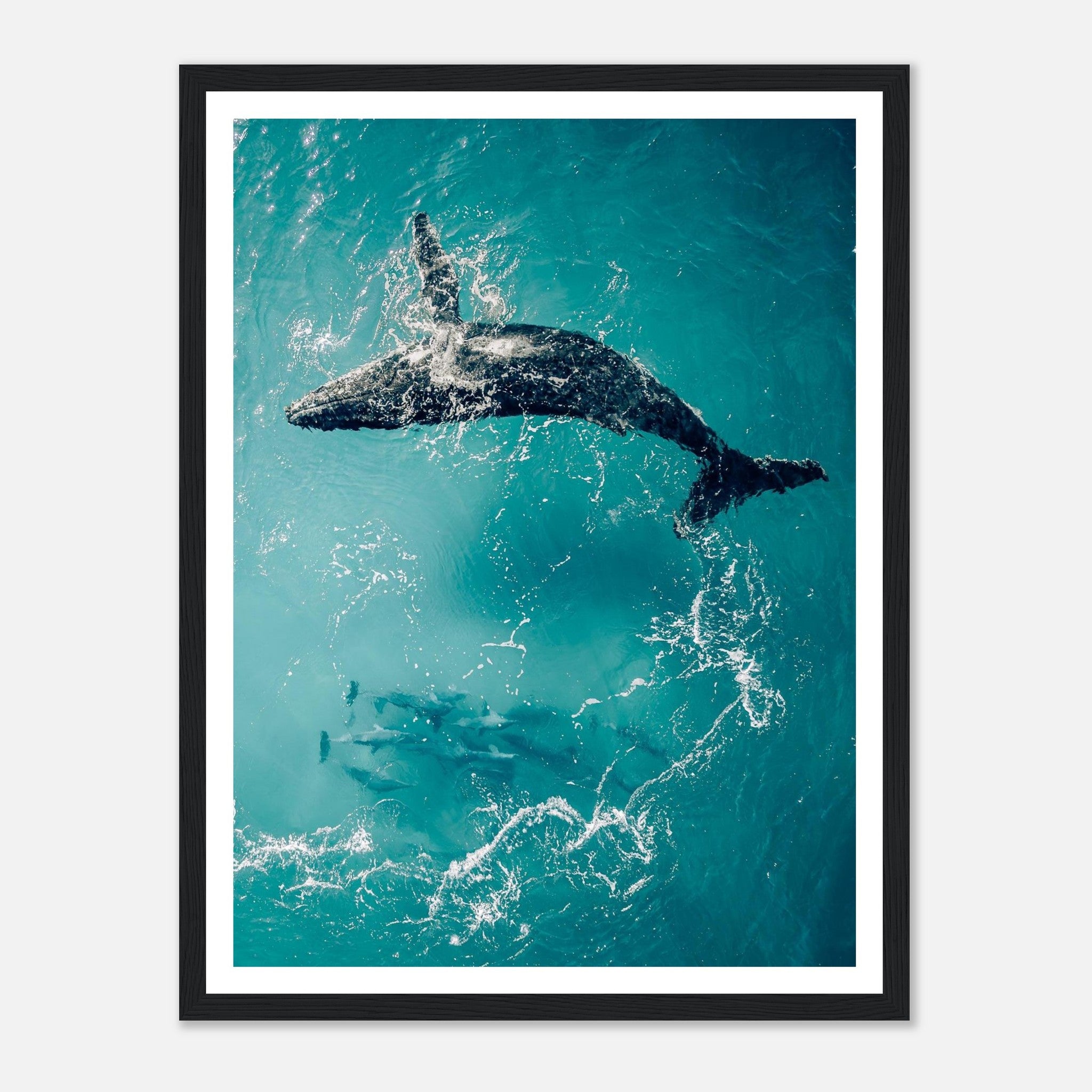 86e4b84c-7b82-47b0-bfb6-62f45ef971c9