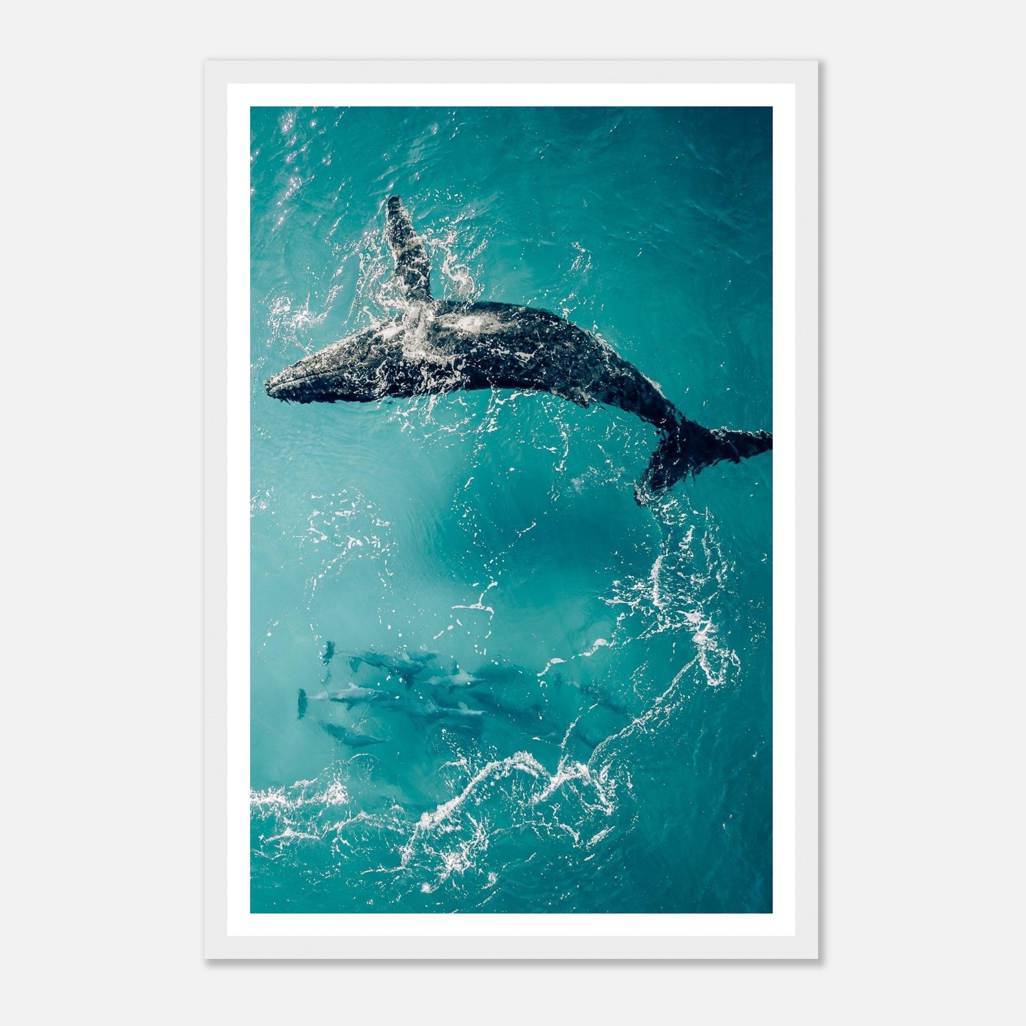 892e35cc-fbcc-4a6a-9514-ee3269ceeb56