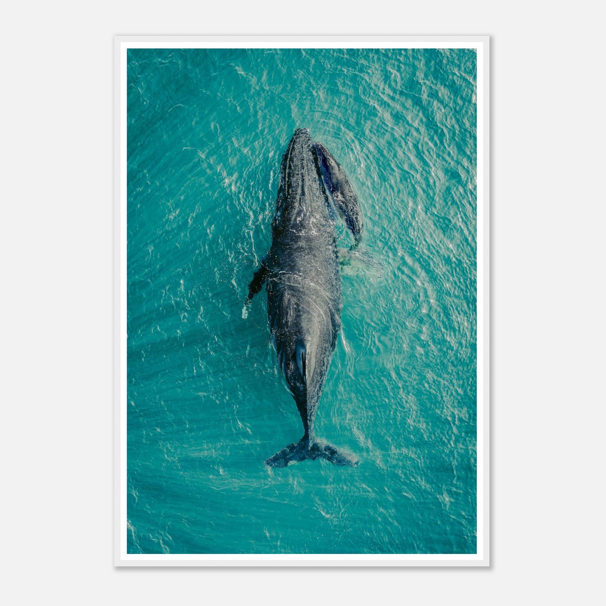 896bb6c3-6103-481d-9403-0e922595bda9