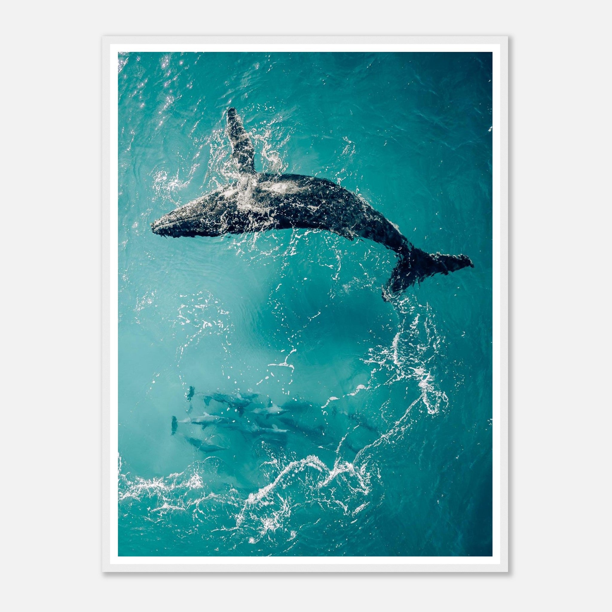 89c68f94-e729-428d-89e4-770f67731b6d