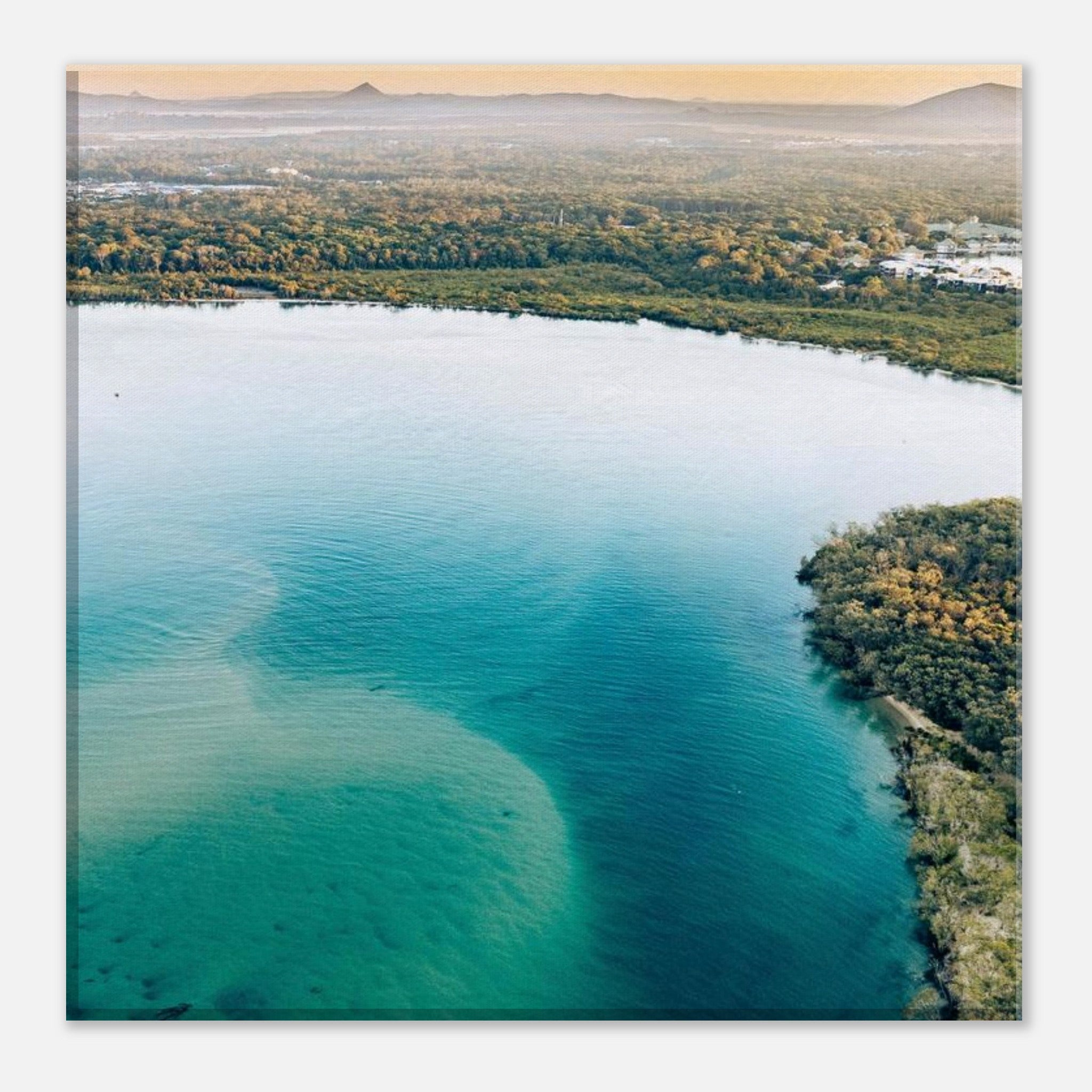 8e16a25f-6154-46d4-a1b9-f05327a8743b