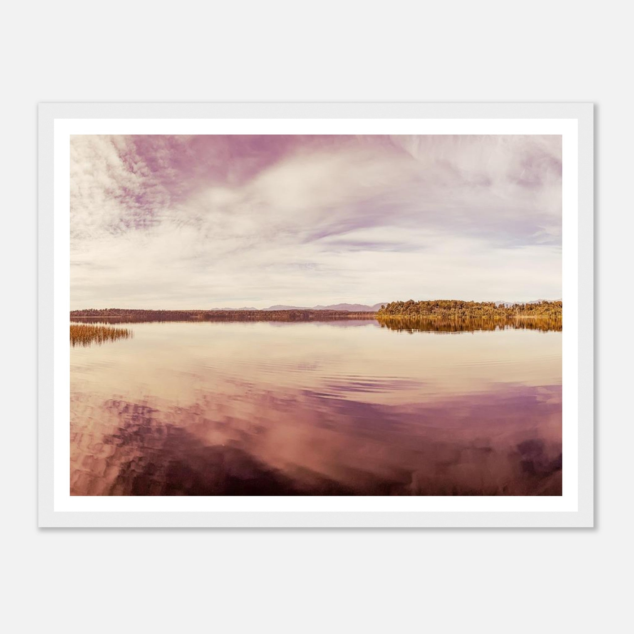 8f5a9a92-ed2a-4b13-939b-29416f101b0e