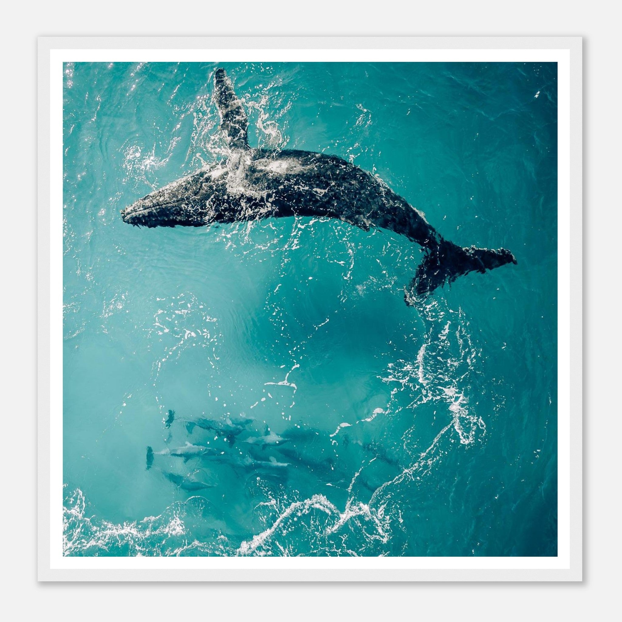 90231b45-4a36-474f-81a2-96cf705d3429