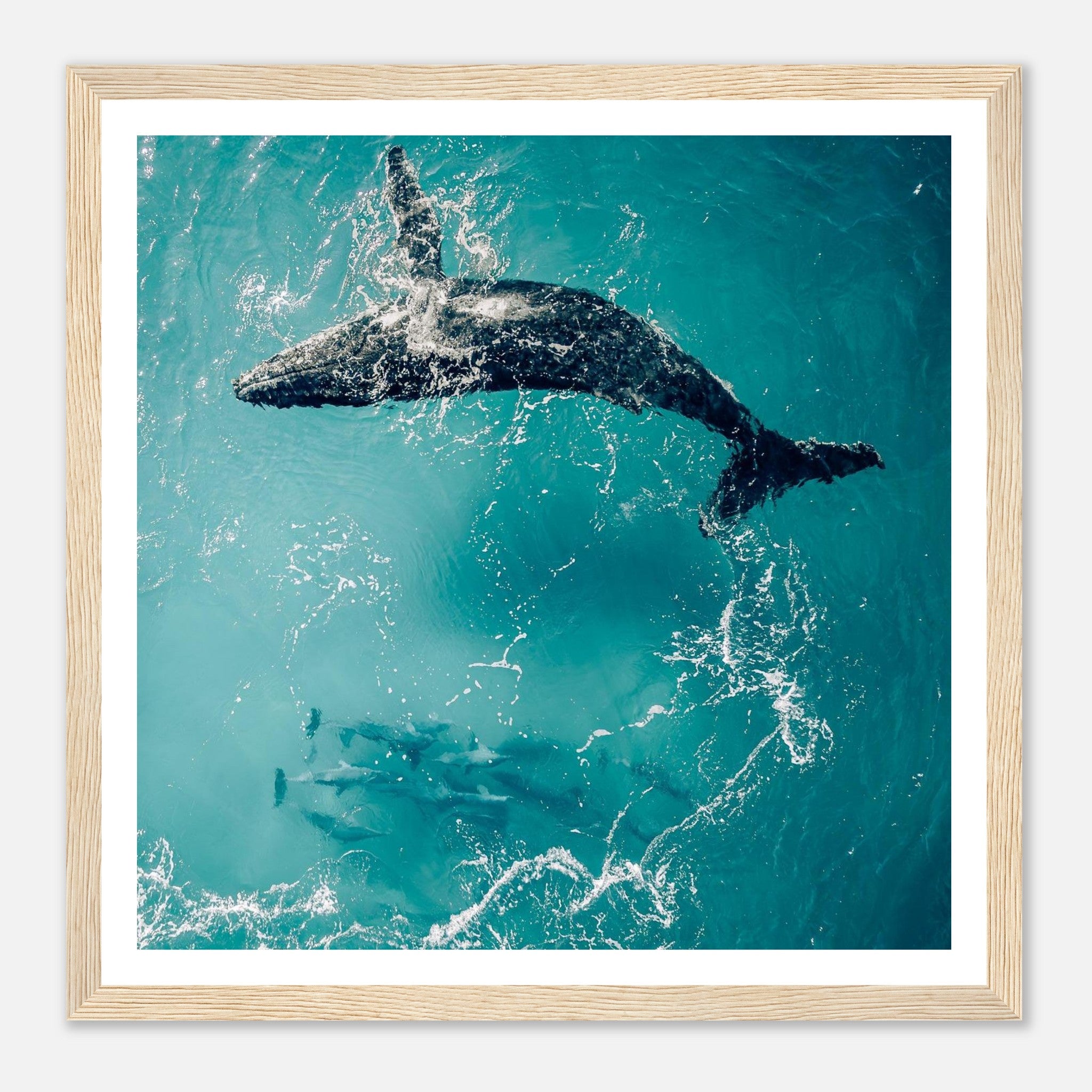 93539c46-ee9d-4e3f-978f-8f59fde736a3