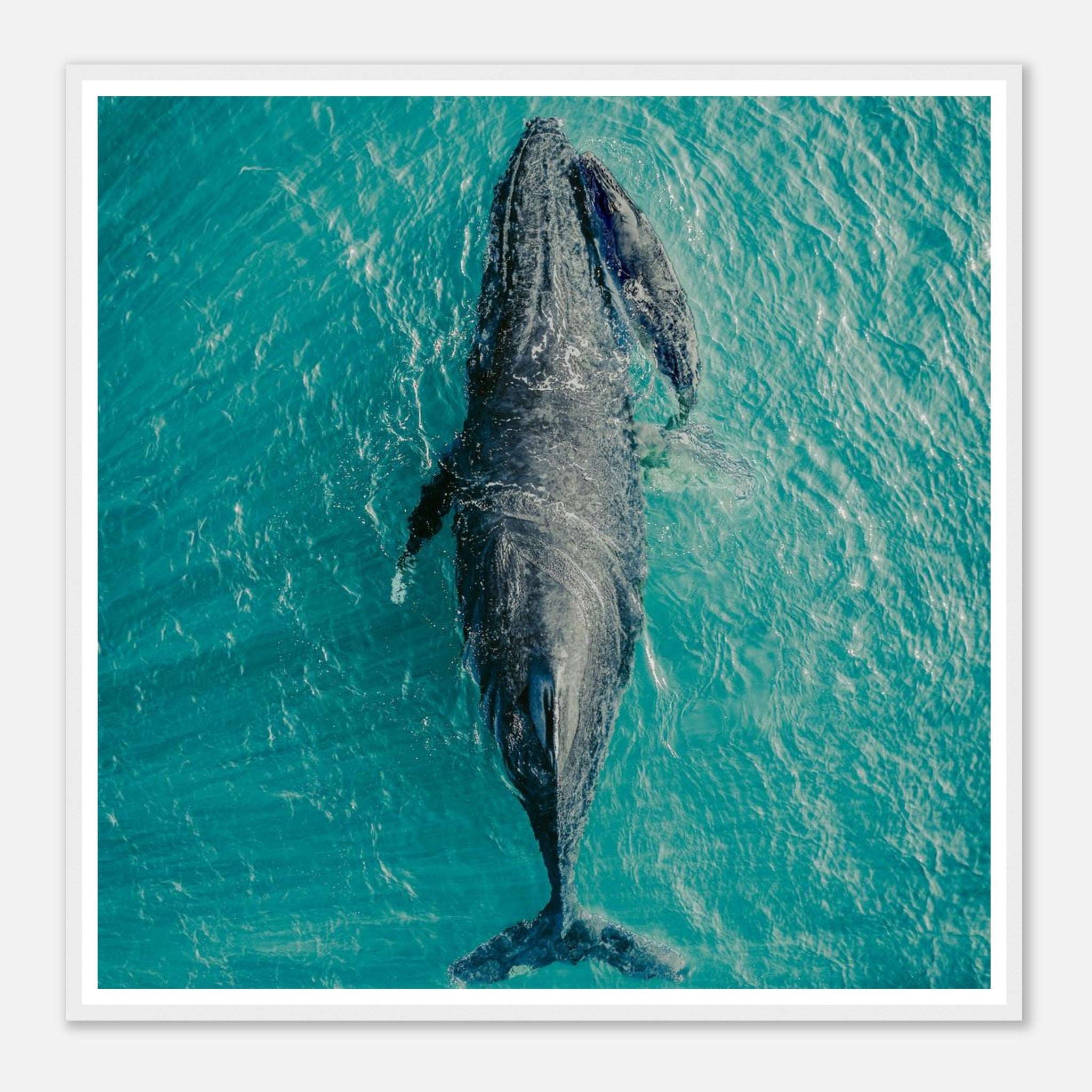 949c555b-d3e0-4883-9c5c-fe9b7cad8083