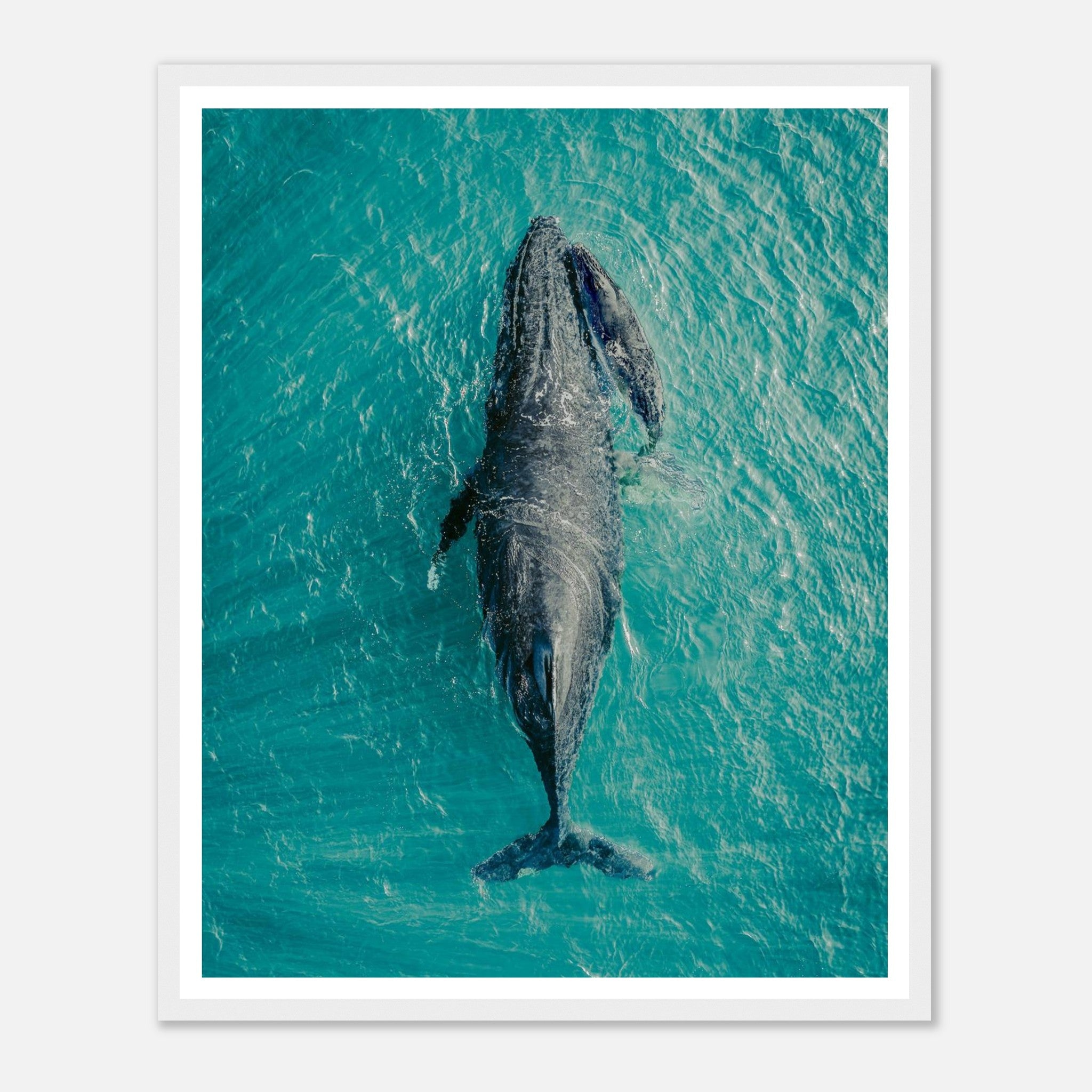 94f29d57-1137-4d34-9f44-19624d19f842