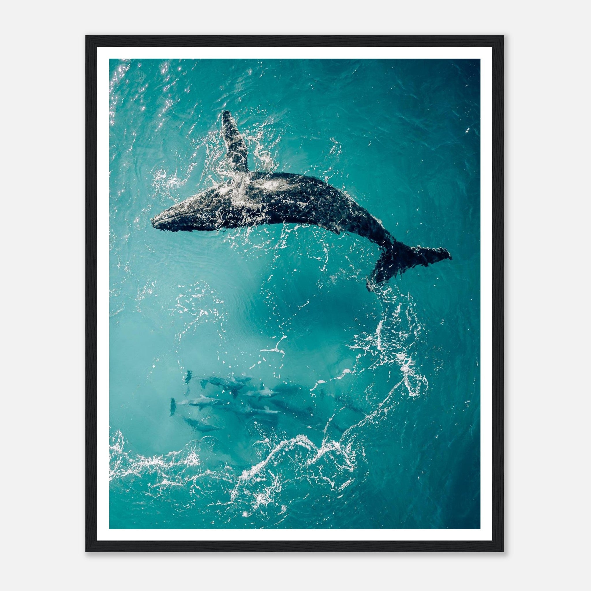 95d841b0-3305-40e1-8489-af8bd57b3c0e