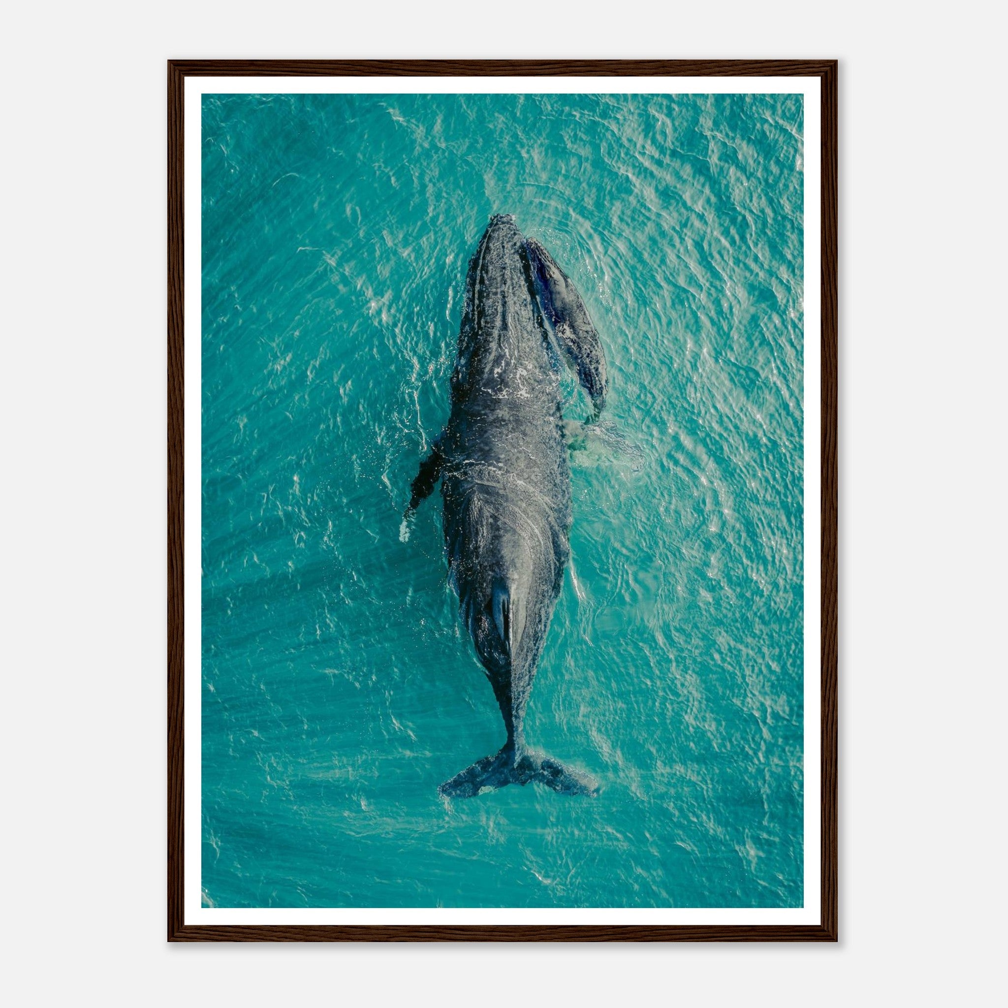 96ec77a8-82e9-4cc3-bfc1-5195c0e9b377