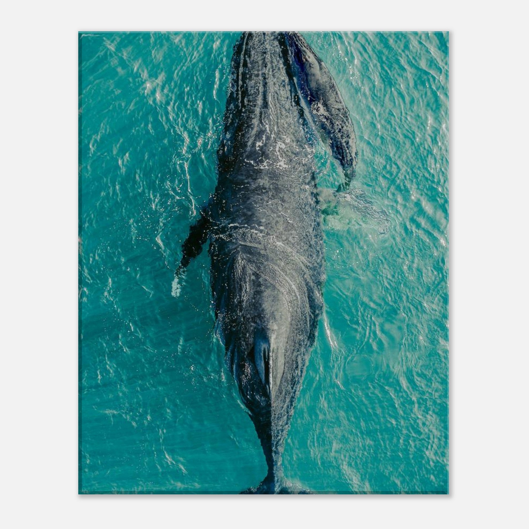 9e01b6ae-6a12-4e94-b0dd-7f4048ea8a06