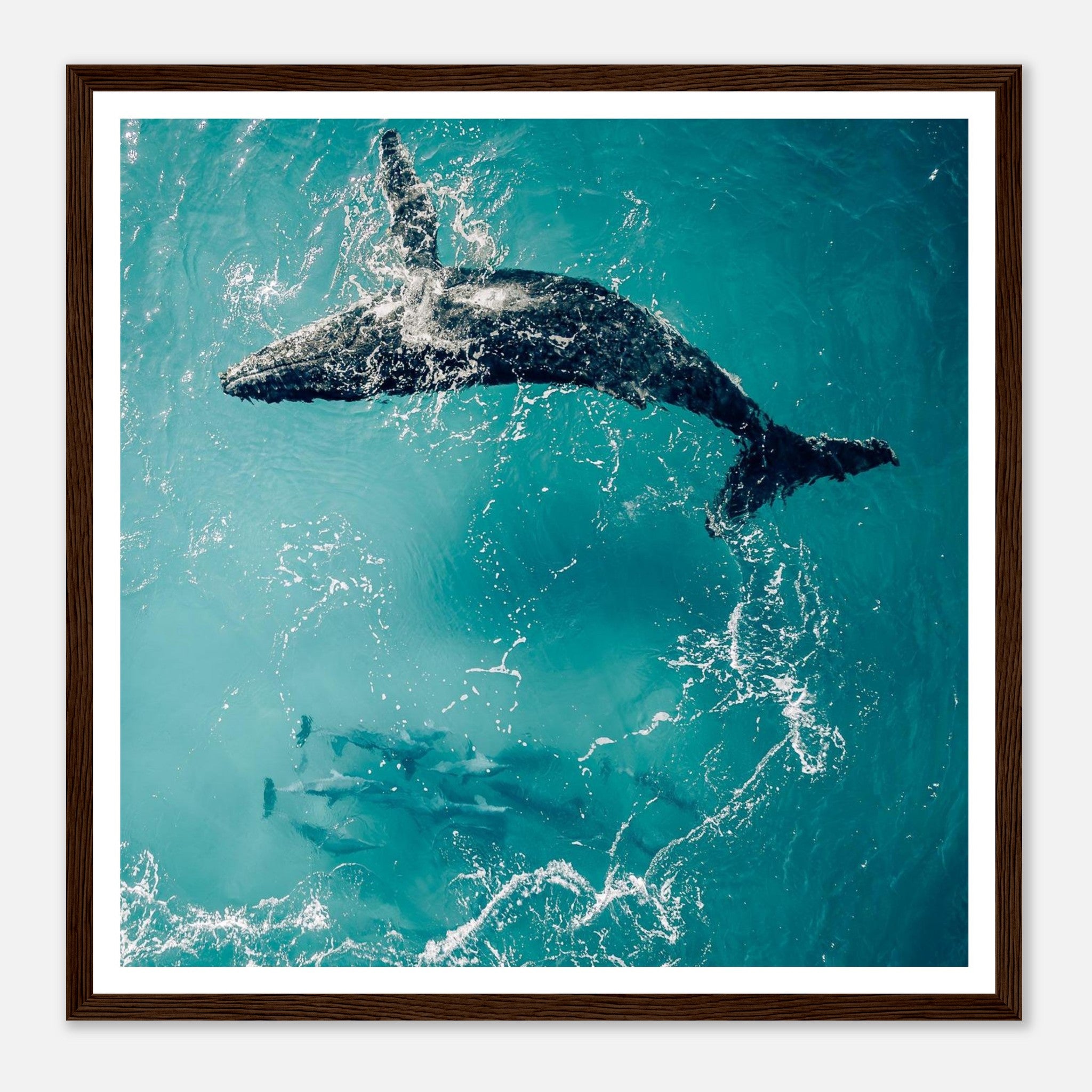 9e8ca40c-2af7-4b48-9052-1636cda4ce04