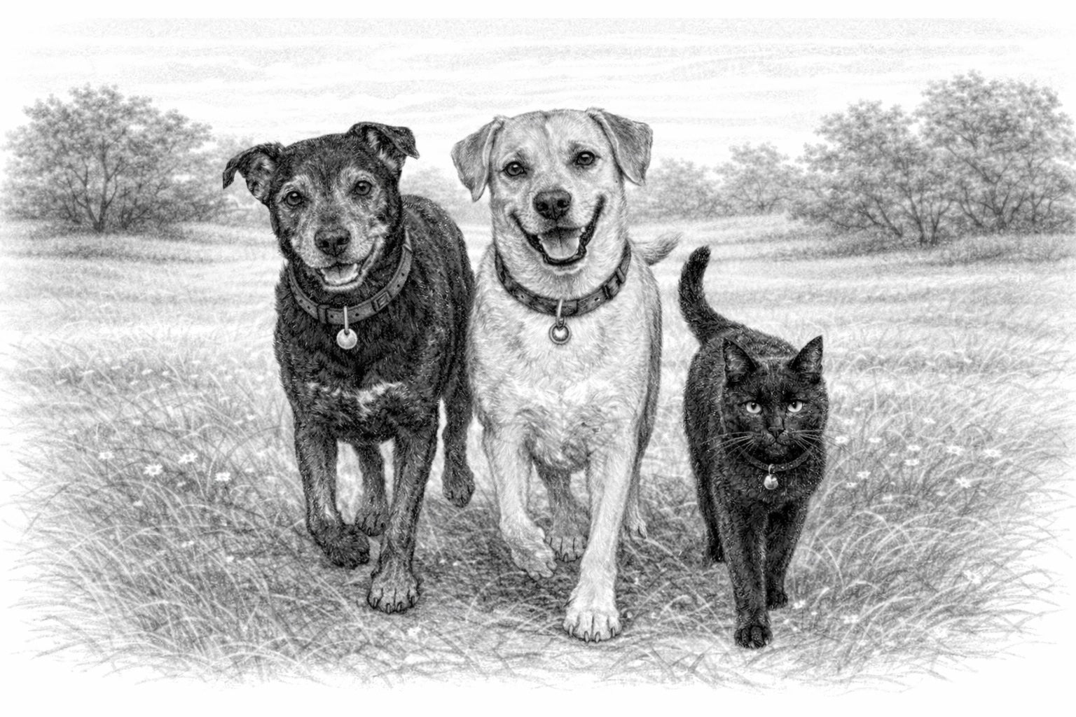 2 dogs and cat walking together