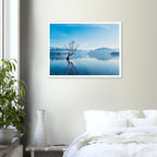 Wanaka - 1222