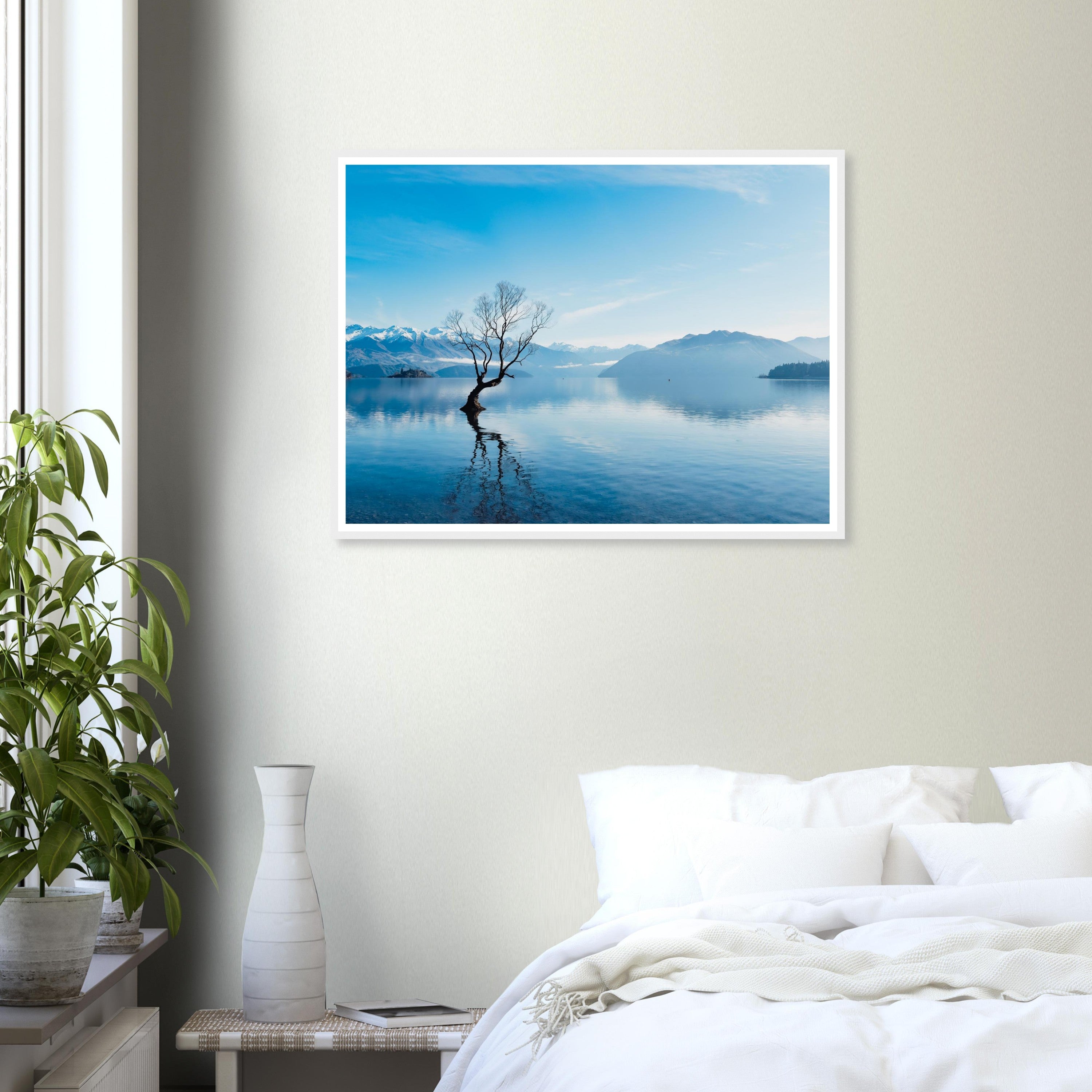 Wanaka - 1222
