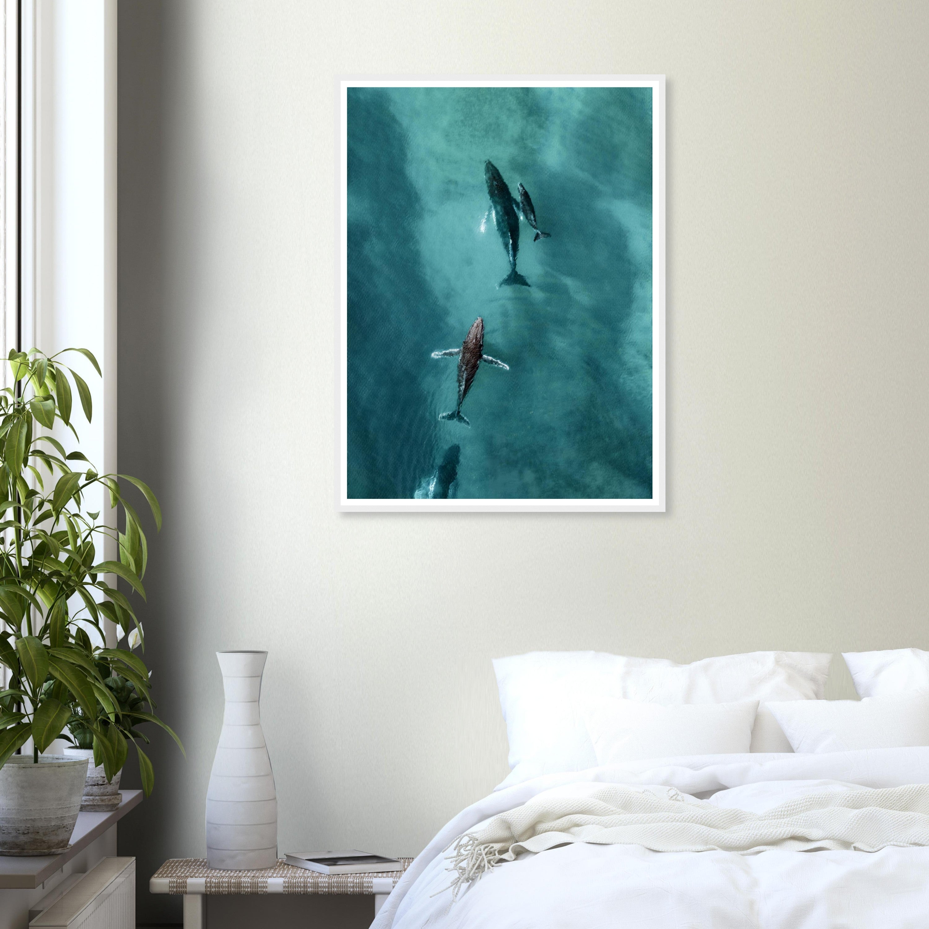 Whales - 1226