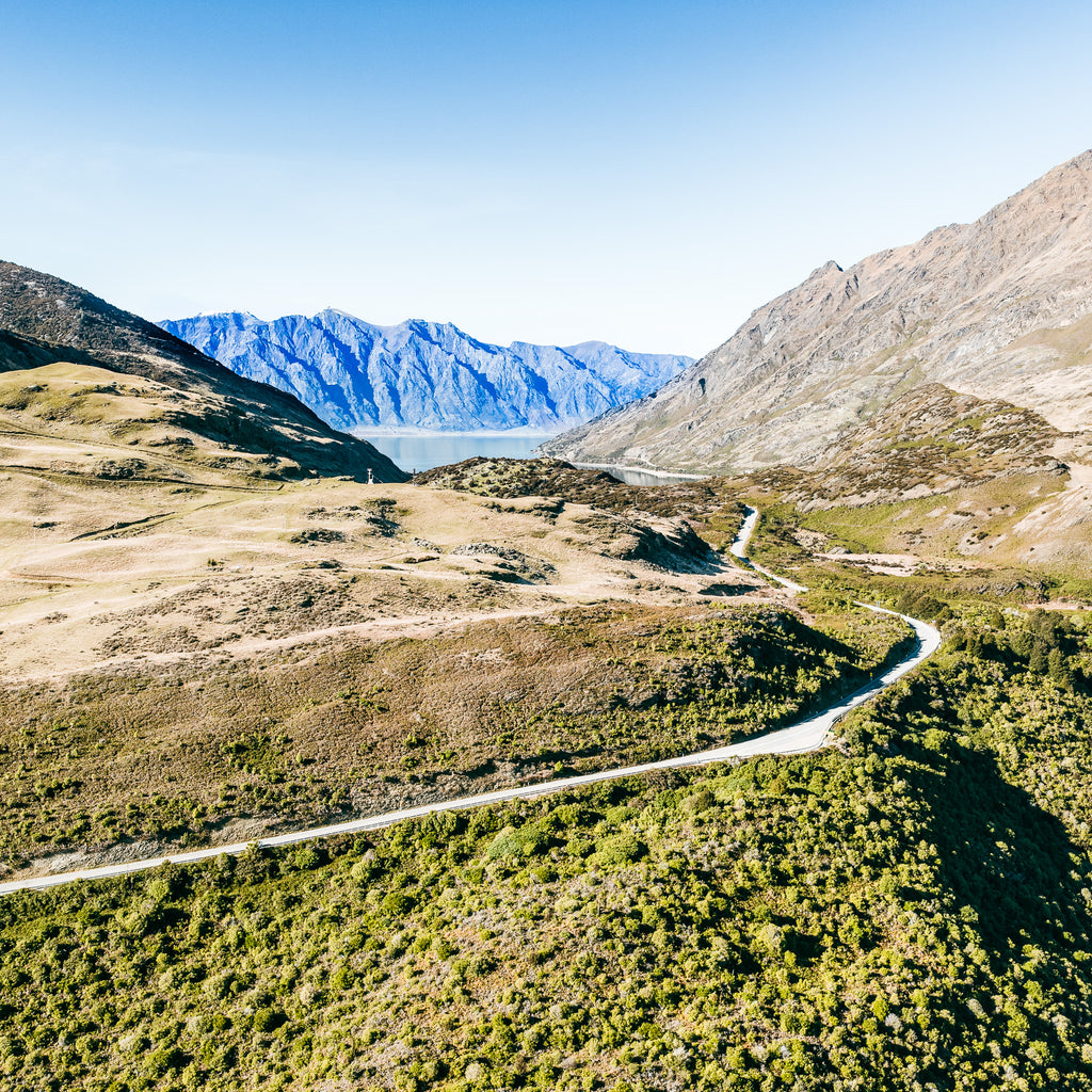 South Island - 1232