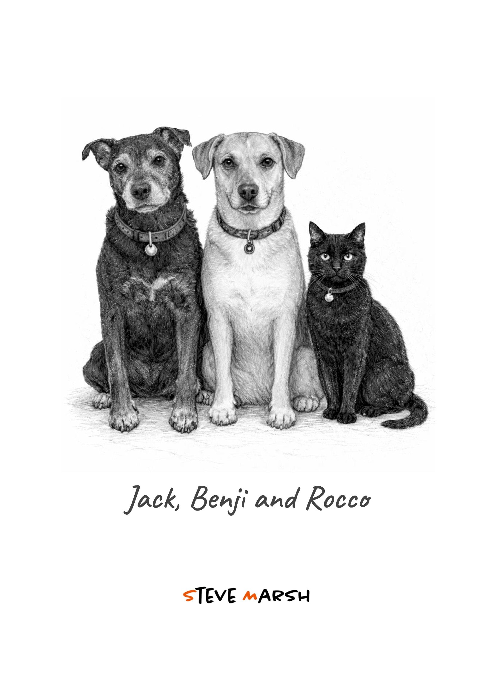Jack, Benji and Rocco Book Cover