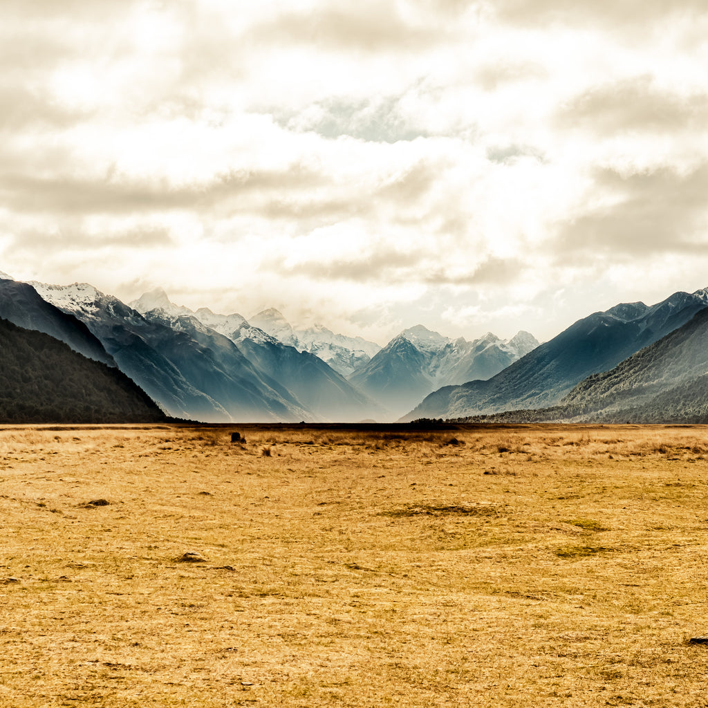 South Island - 1219