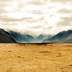 South Island - 1219