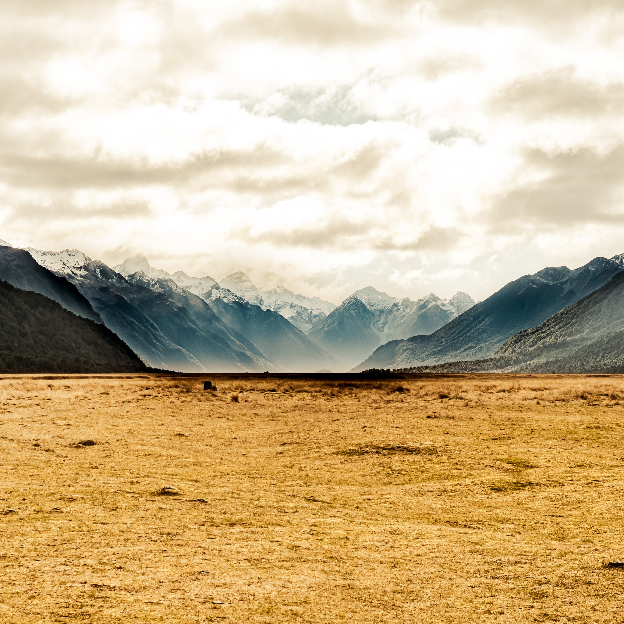 South Island - 1219