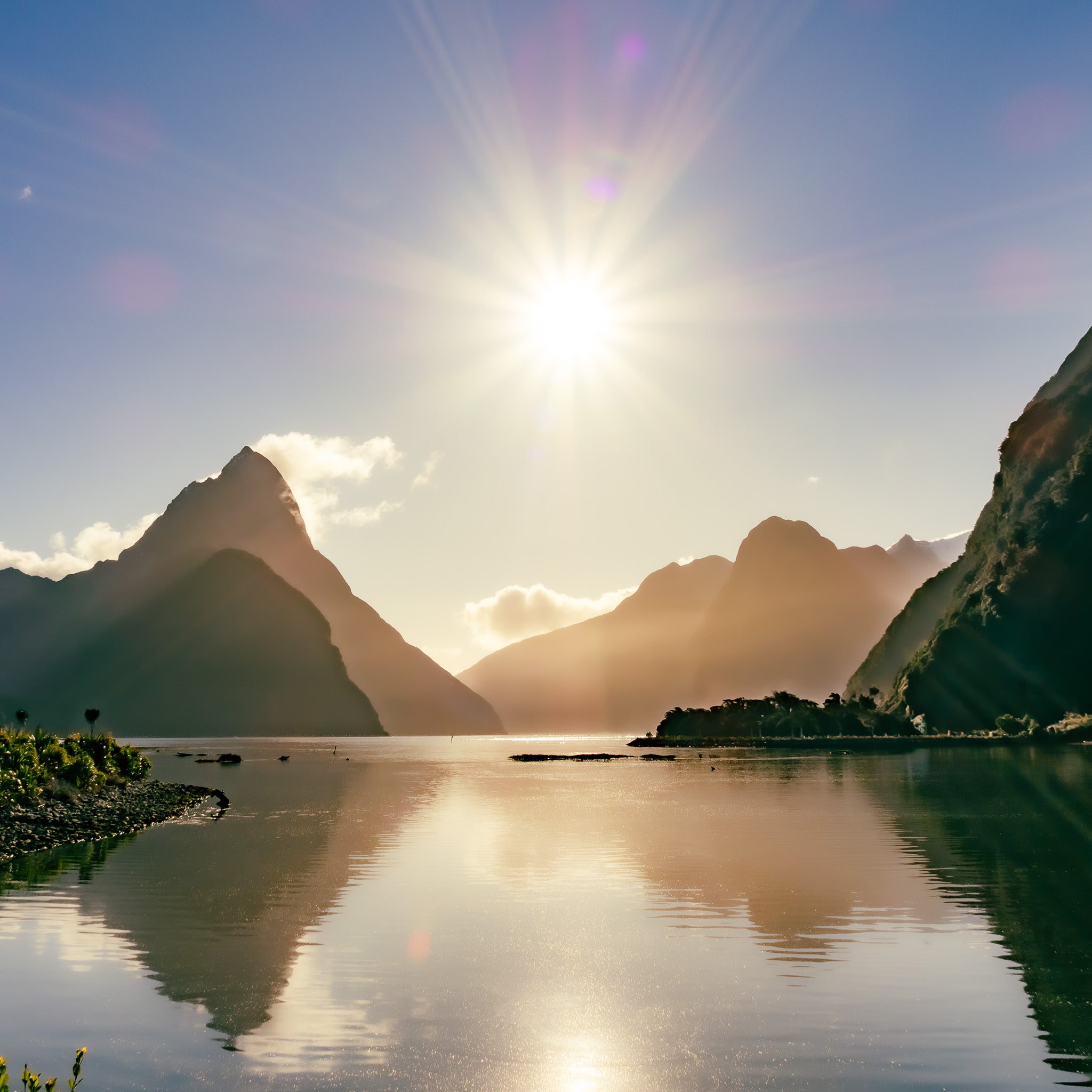Milford Sound - 1229