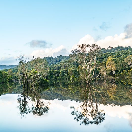 Yandina Flooded Photo