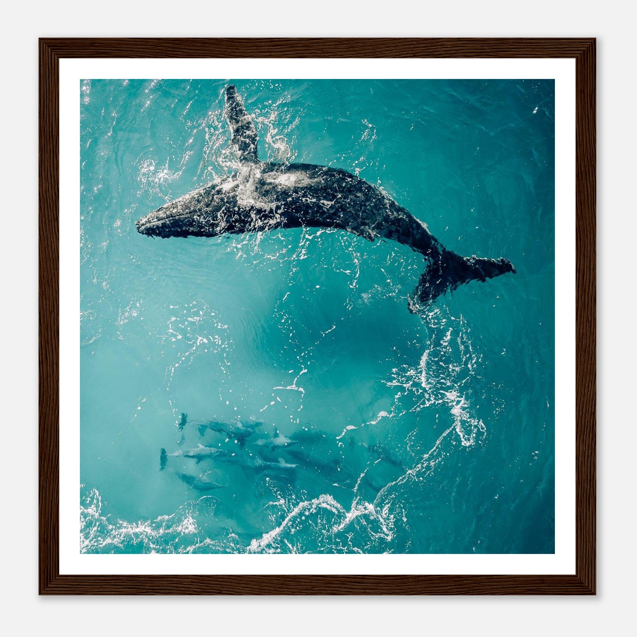 a2aa2f8a-749e-4c3a-865f-6a82a82466d0