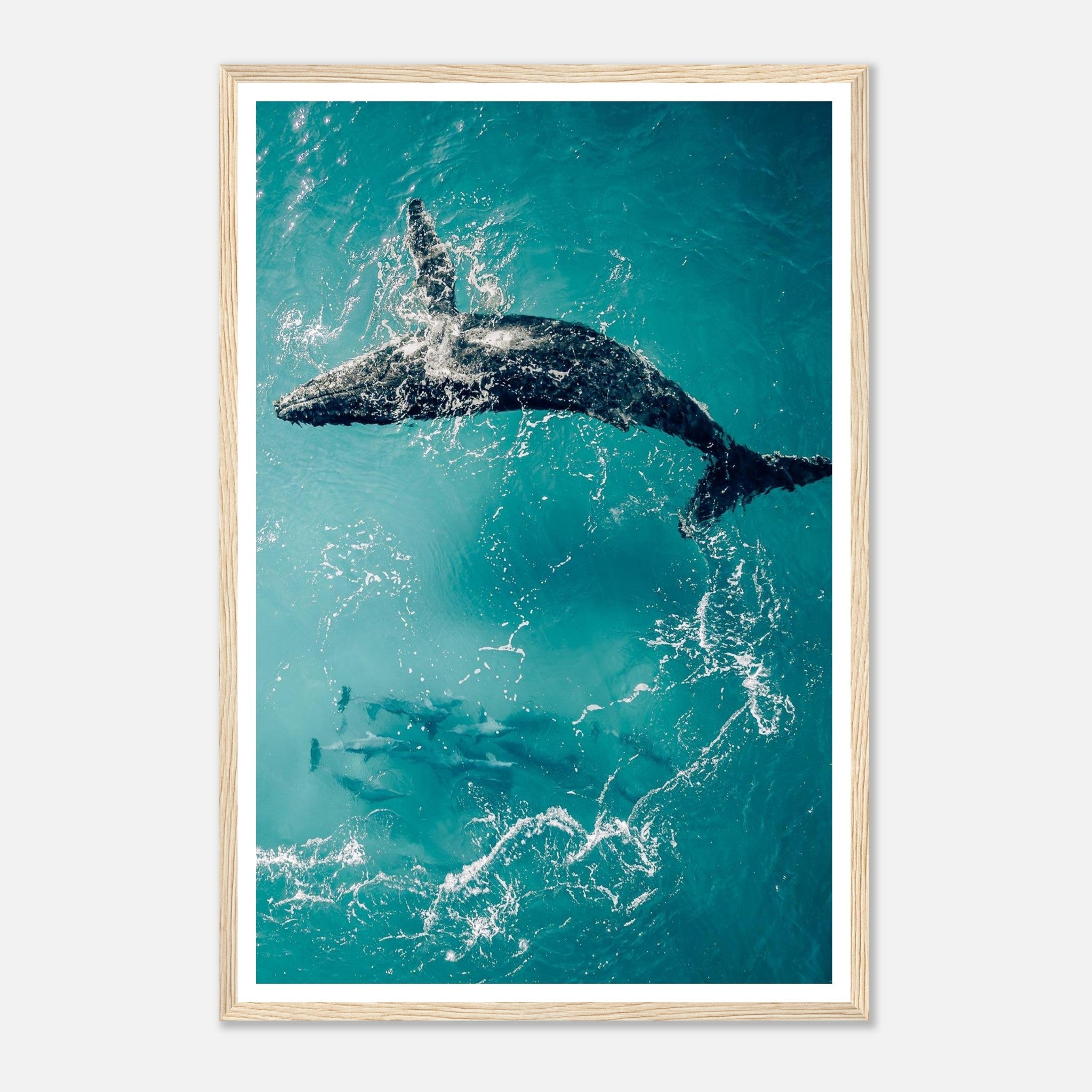 a62cfbf7-9e46-49be-8f4a-289b1416a9c5