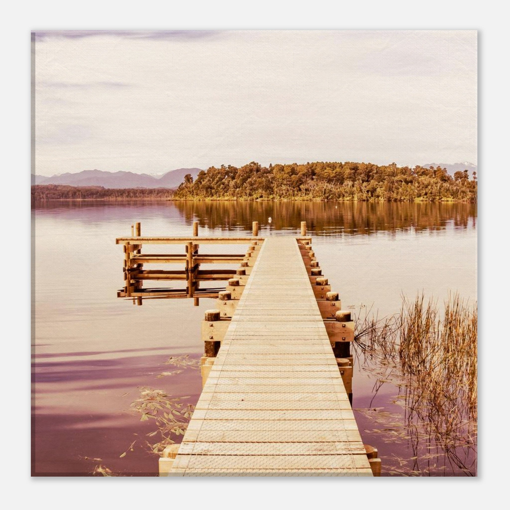 ab169fb6-31ee-4b77-bf70-9241e97fd7de