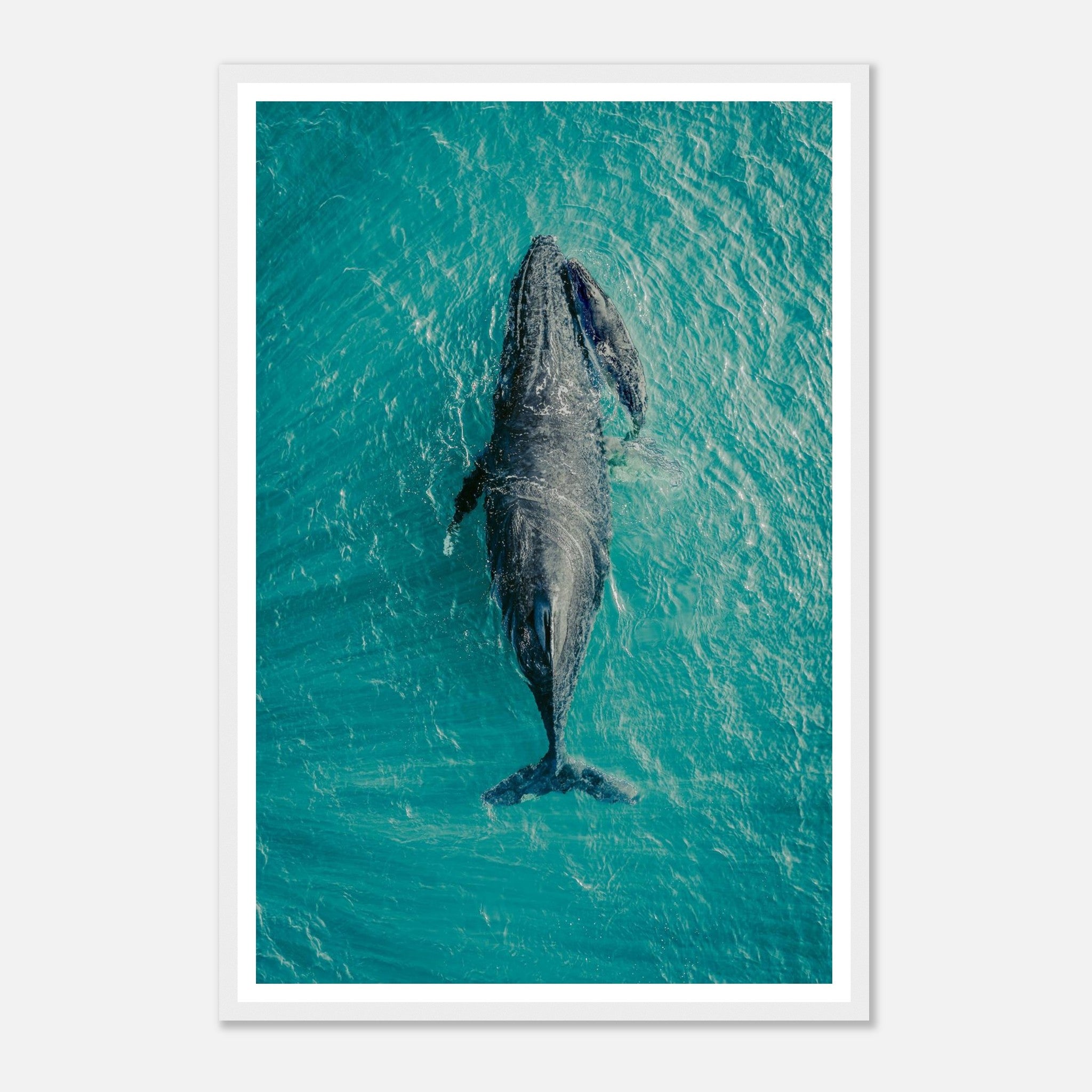 b25129c6-a452-4b27-8c03-758d44ffad25