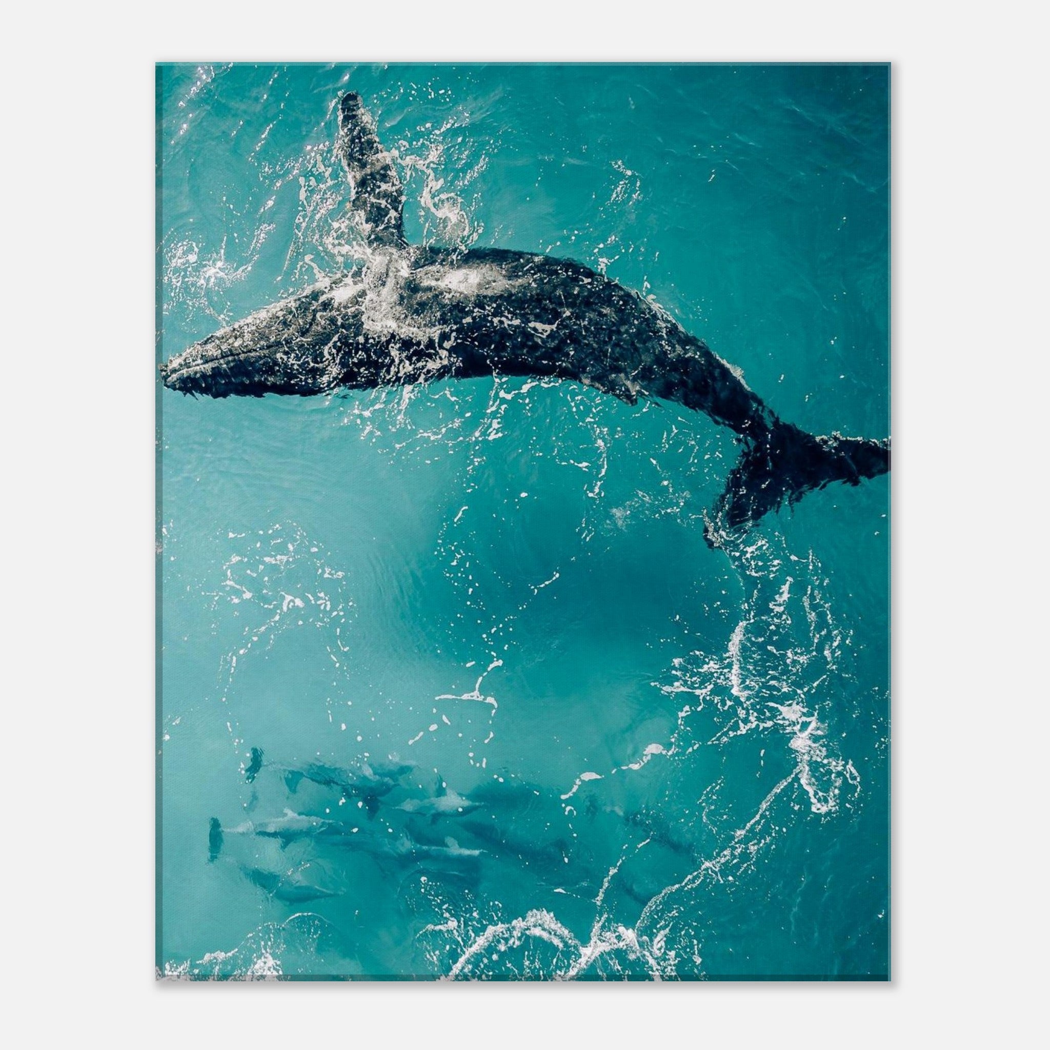 b603e394-619e-48a9-962a-10dc94d2b90d