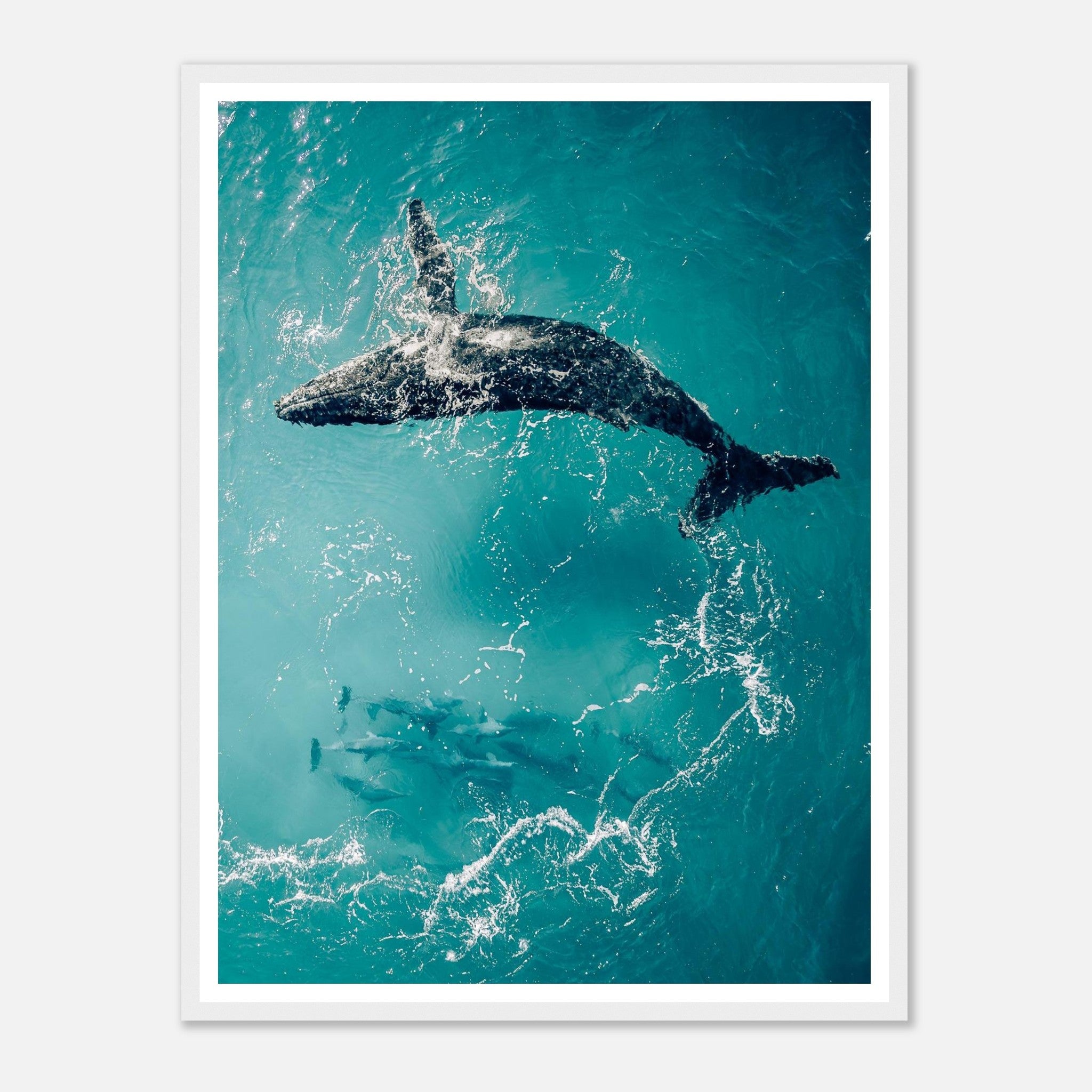 b67a55b6-de55-4ed2-9068-b14df65ed916