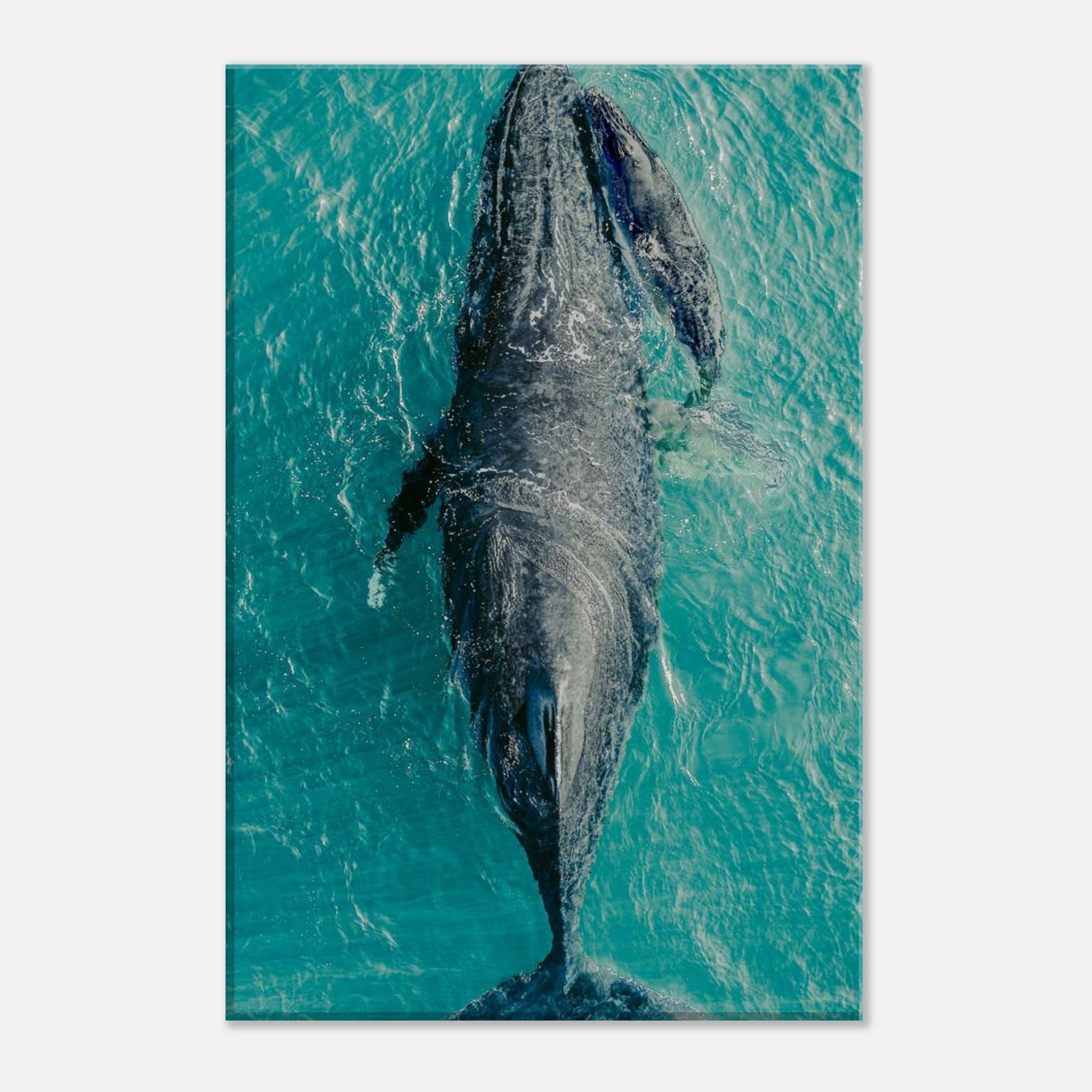 c2048226-3b13-4cb9-8fe6-7b9ce6c69932