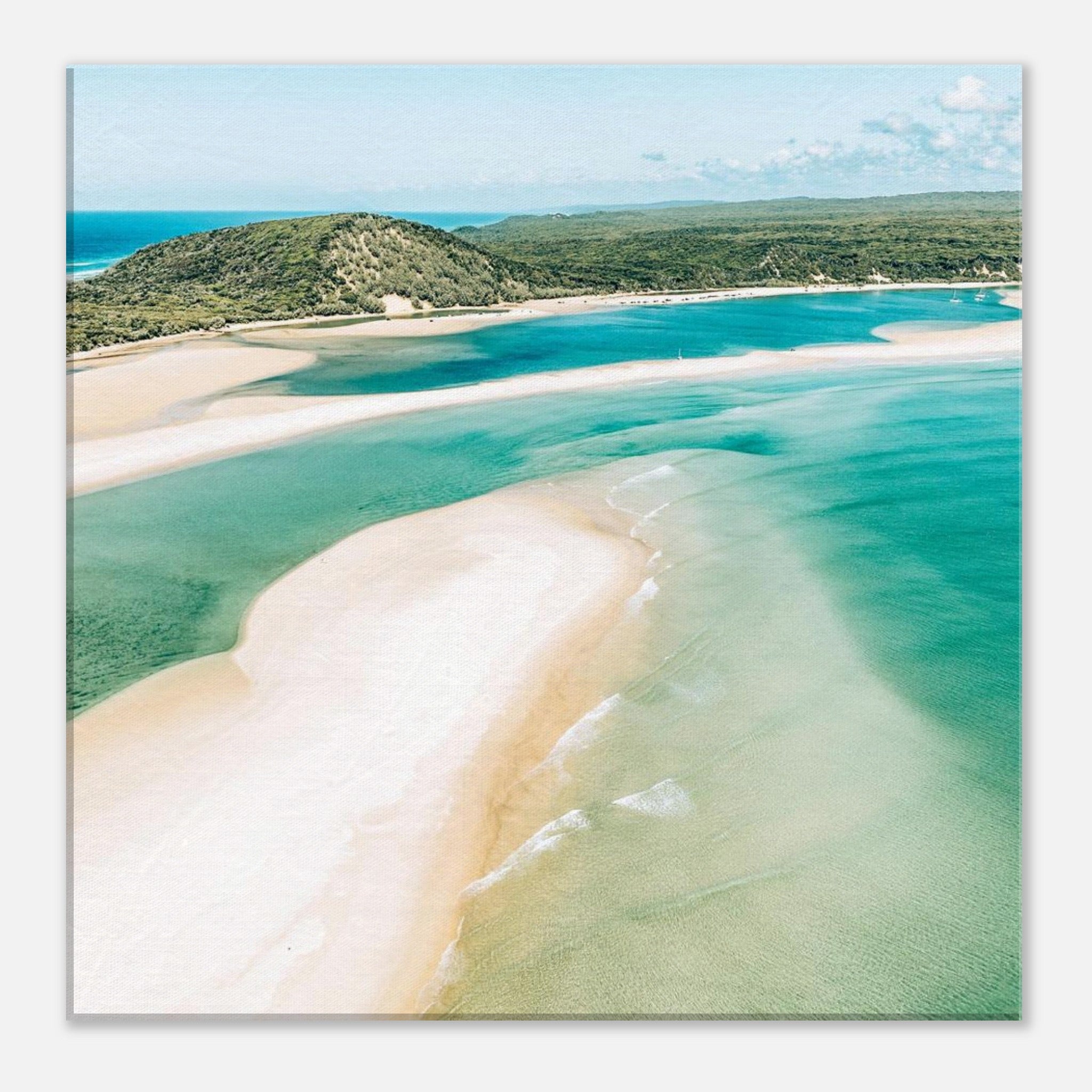 c6319912-a65a-4e45-a798-02c25ead568e