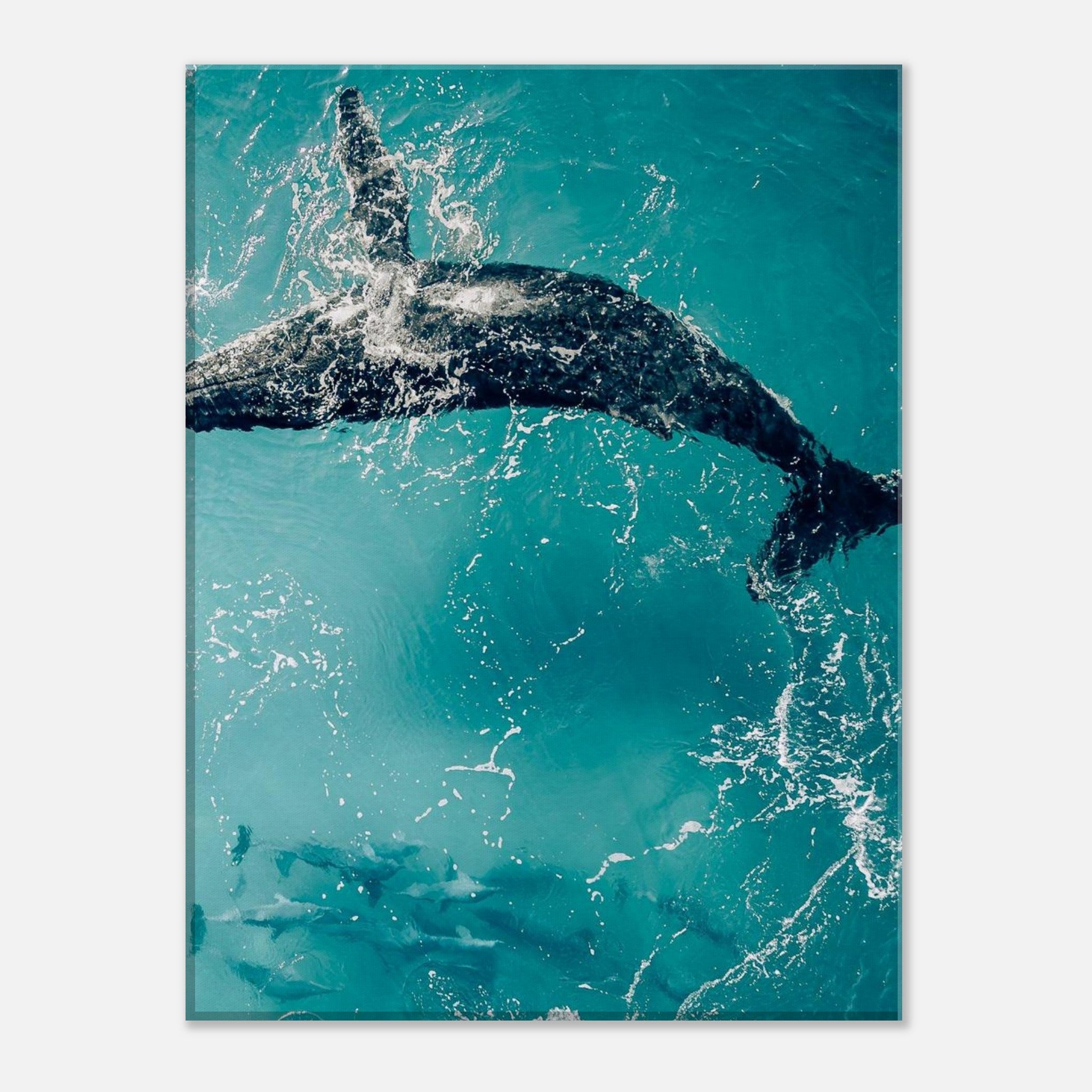 c73cd335-b743-4b59-882c-b6b1b5635bf8