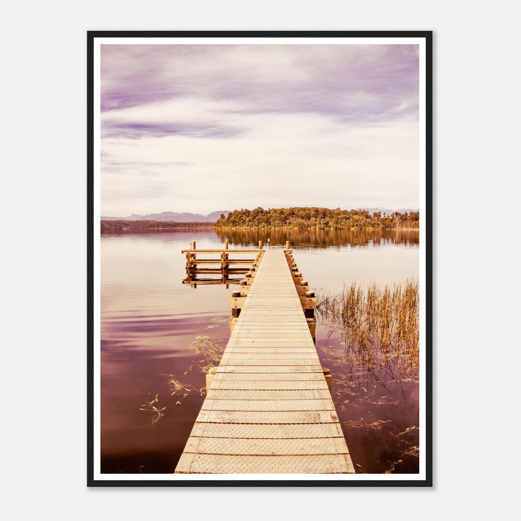 c830becc-22b6-4b29-b621-08dc2266c350