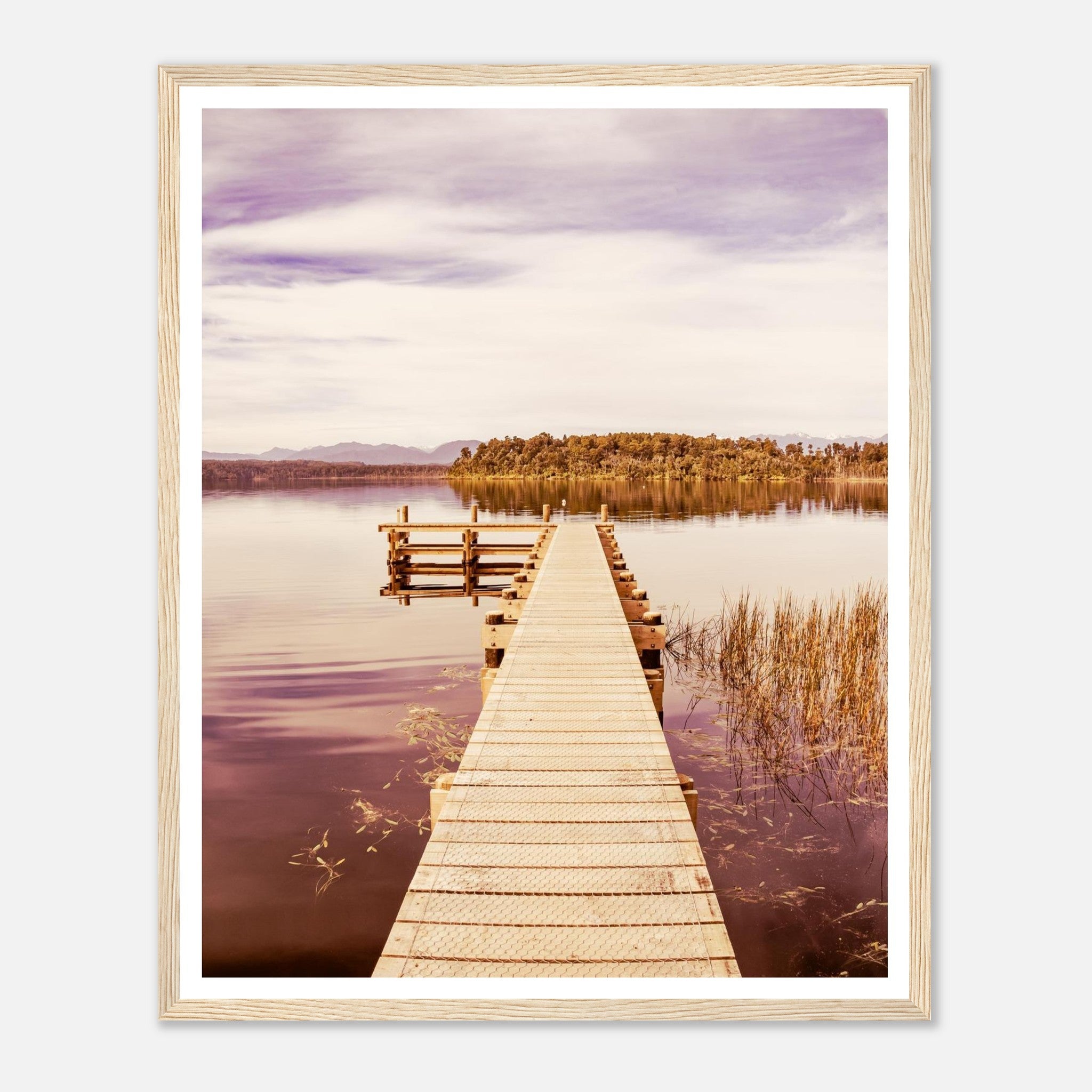 c8b67889-8990-4a09-9827-fc757486a35a