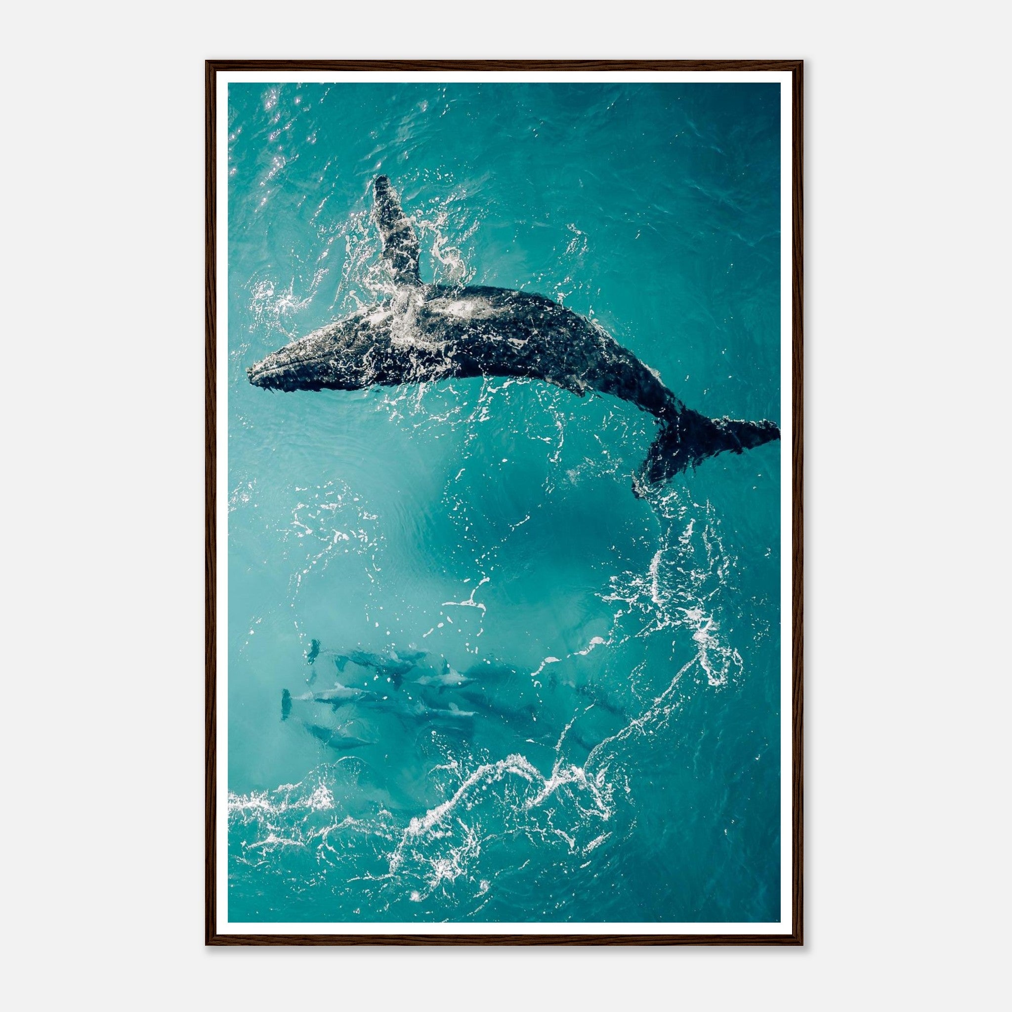 cae88709-6d30-44ab-b7ea-e89bc6667bd3