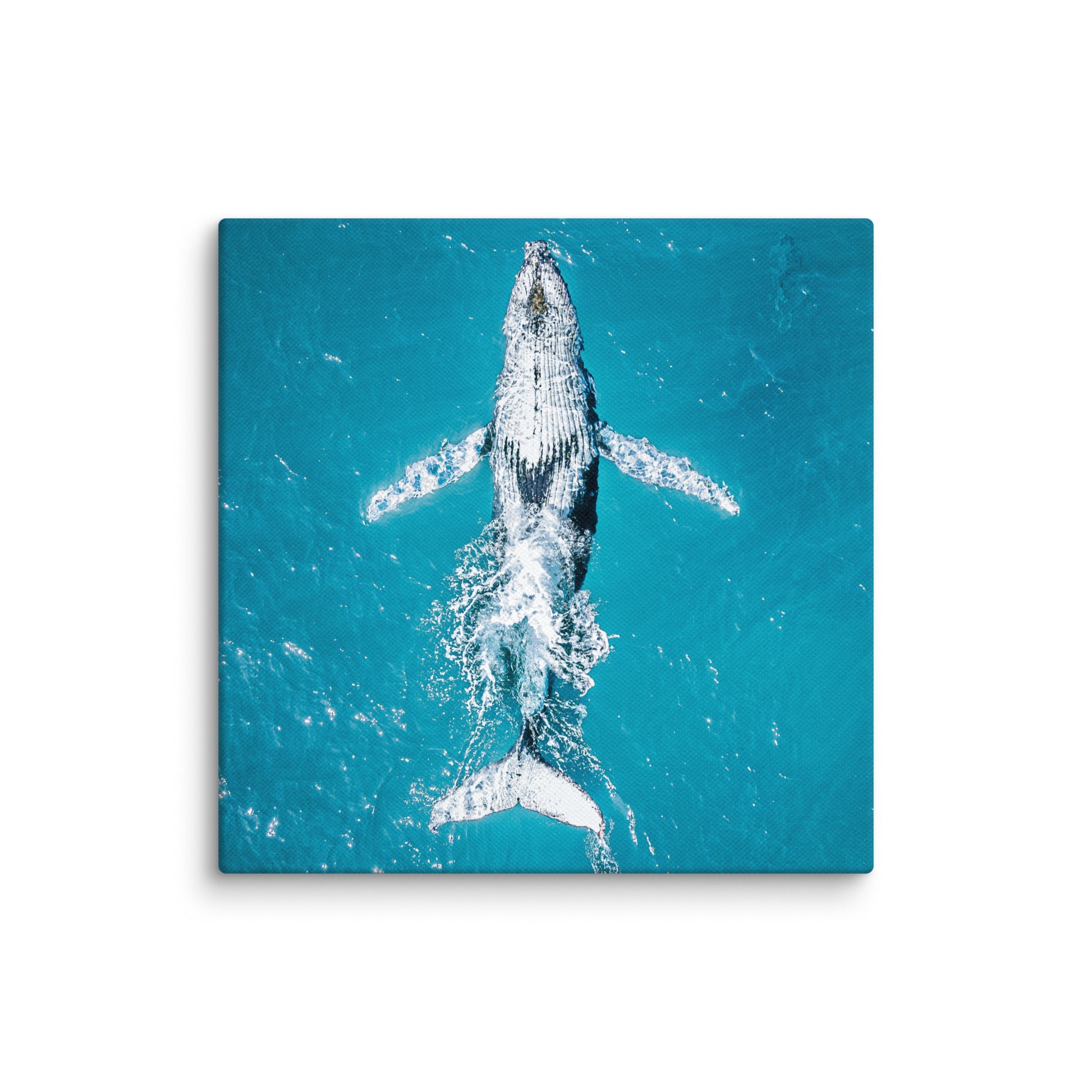 Whale - 1182