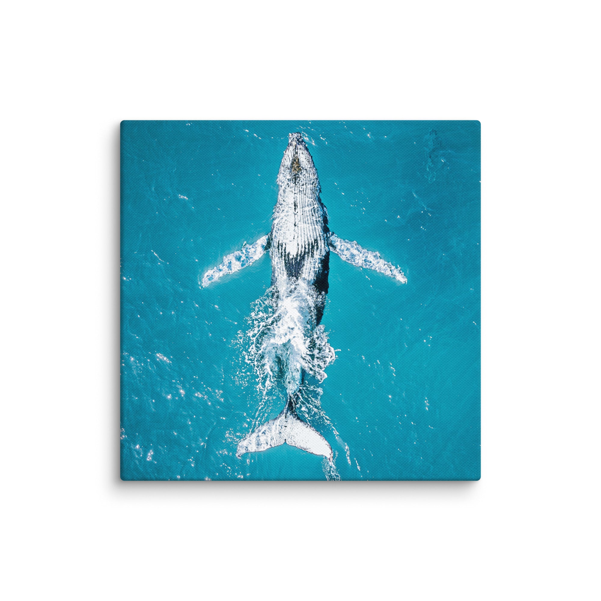 Whale - 1182