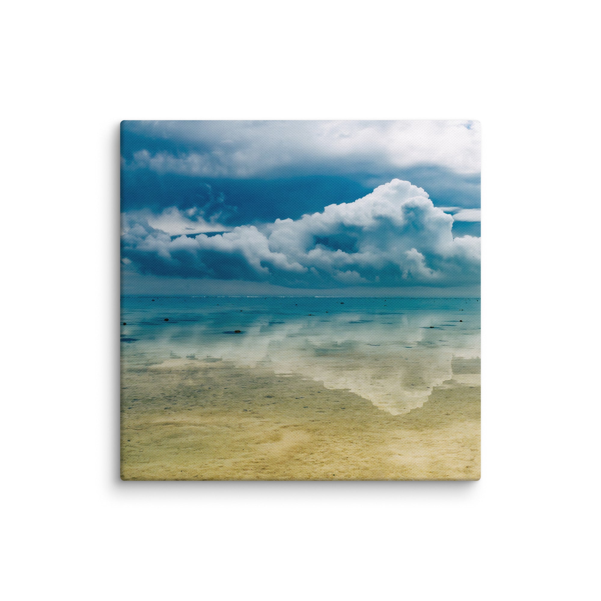 Heron Island - 1169
