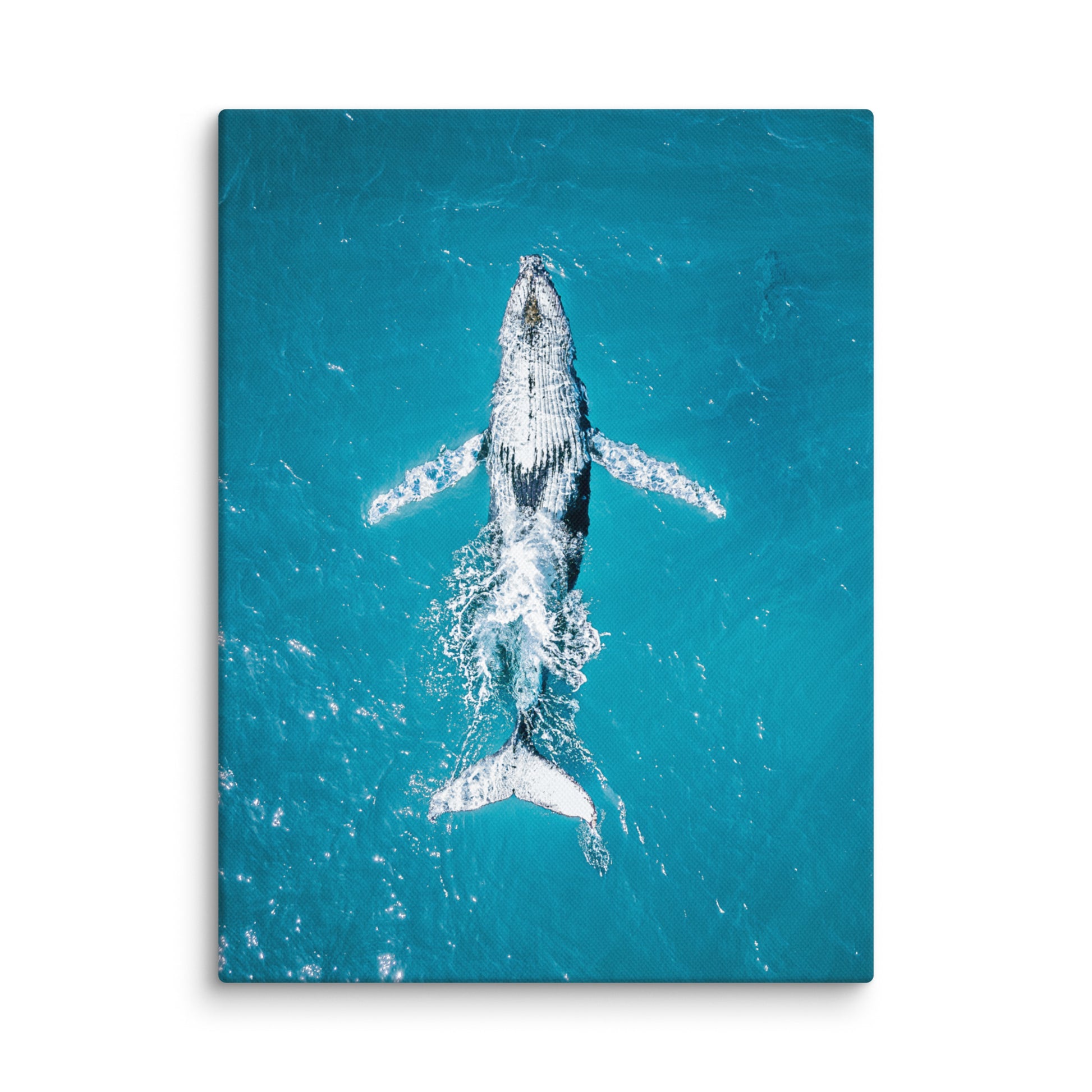 Whale - 1182