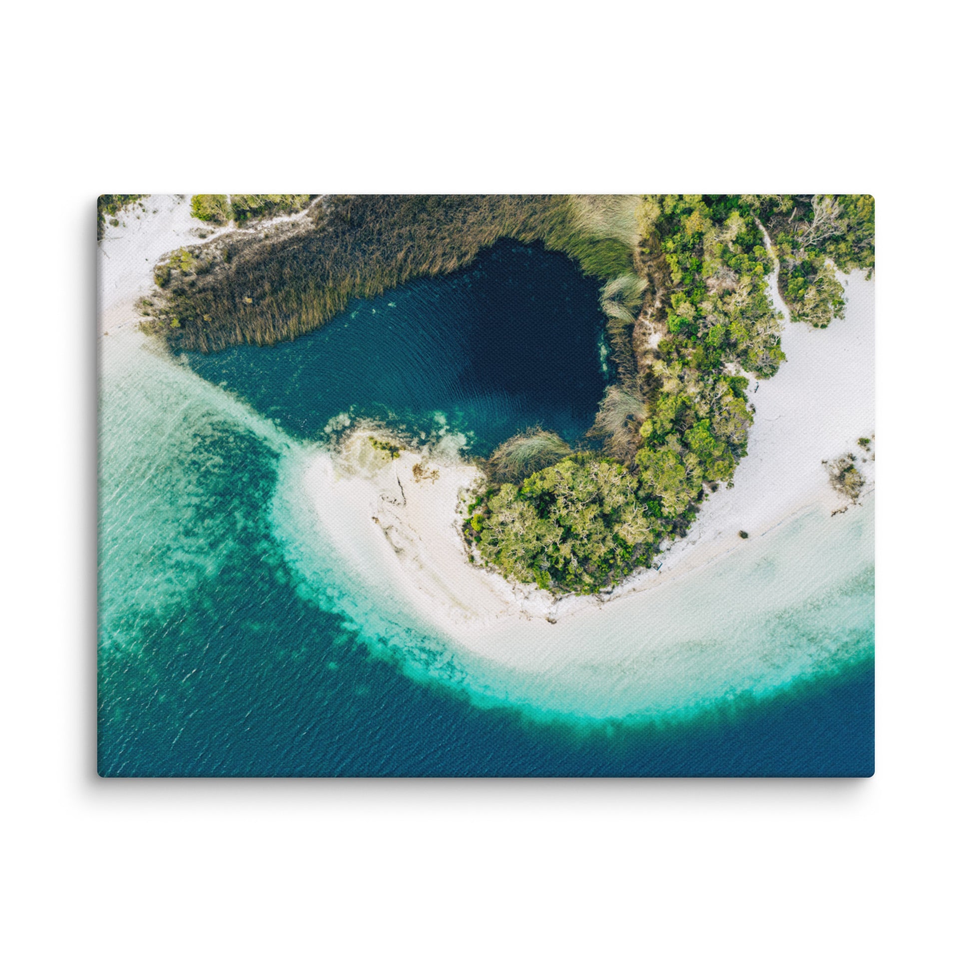 Lake McKenzie (Boorangoora) - 1118