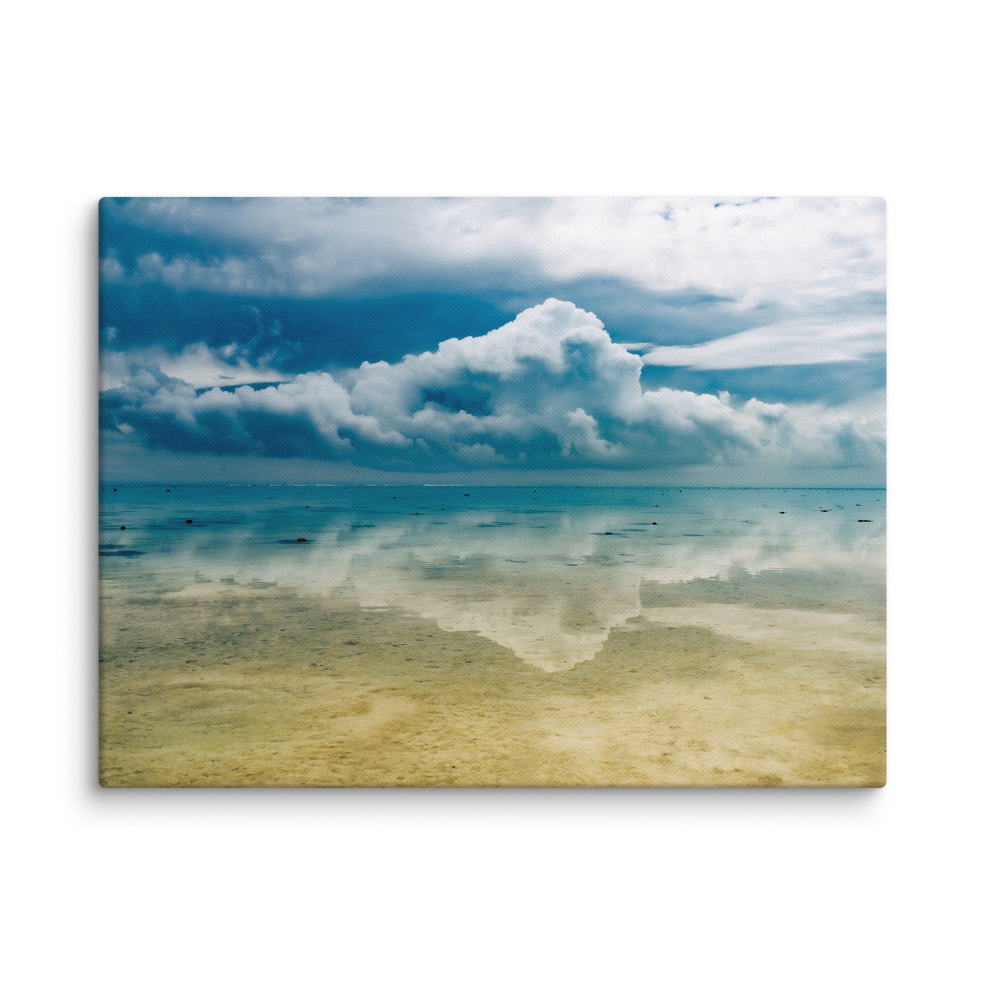 Heron Island - 1169
