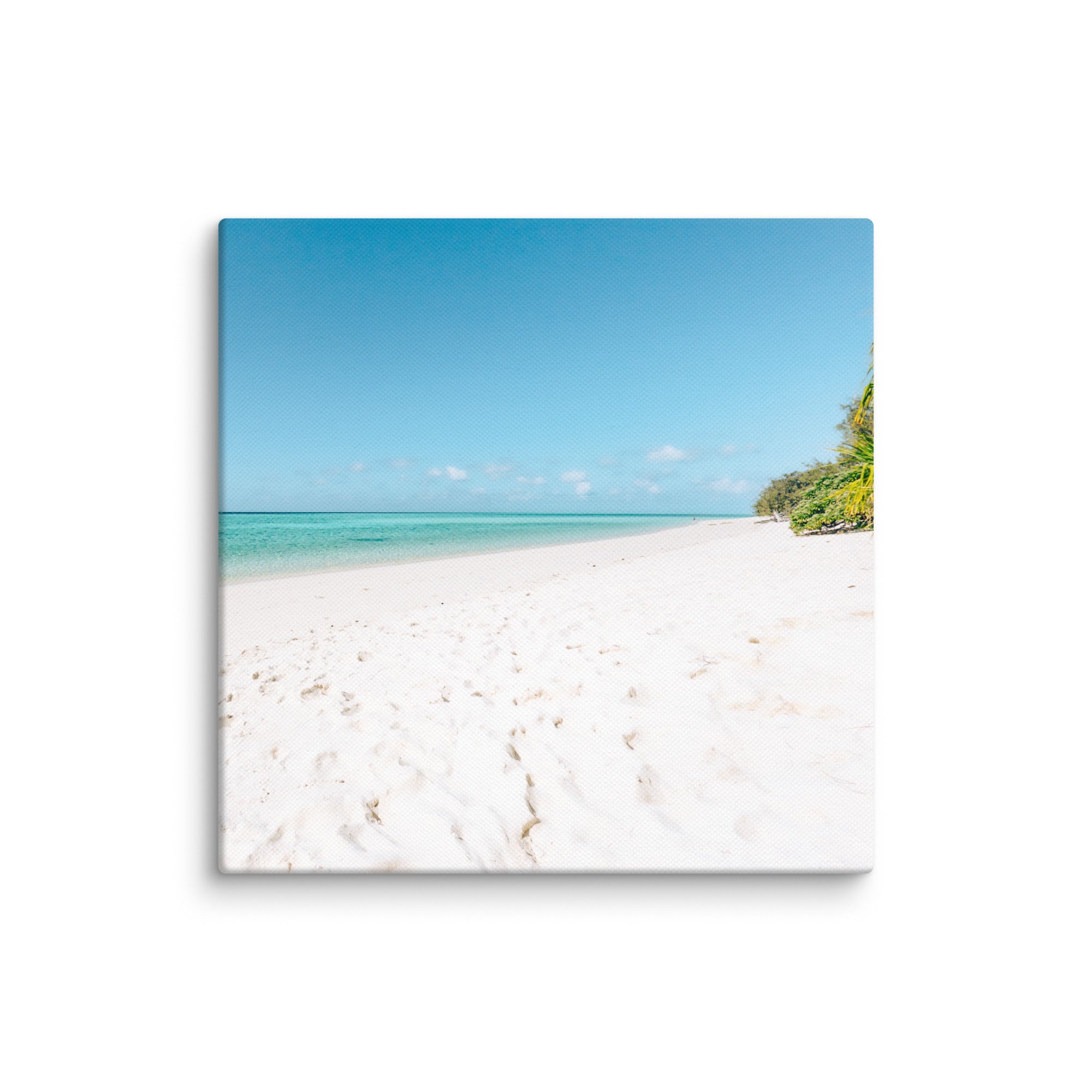 Heron Island - 1138