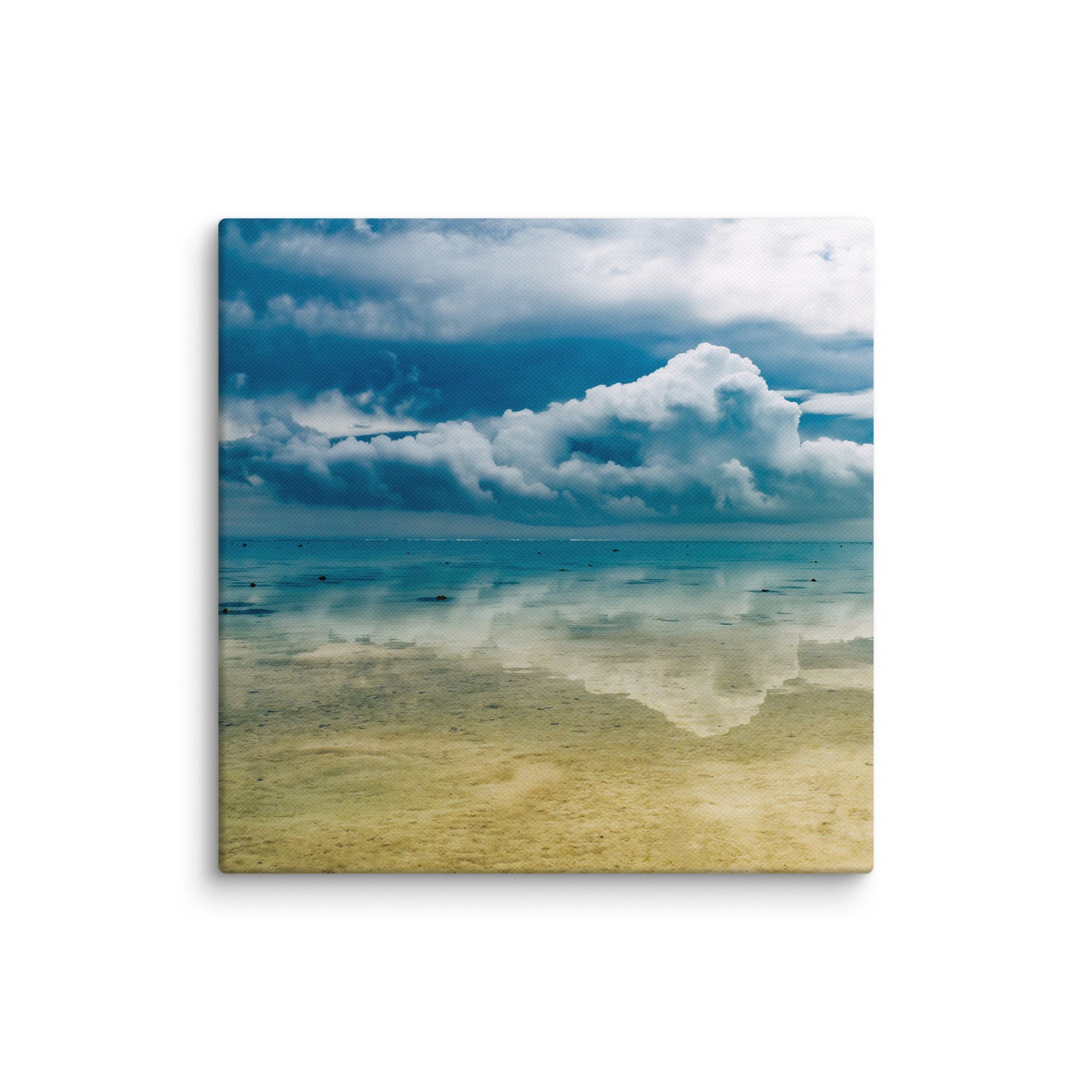 Heron Island - 1169